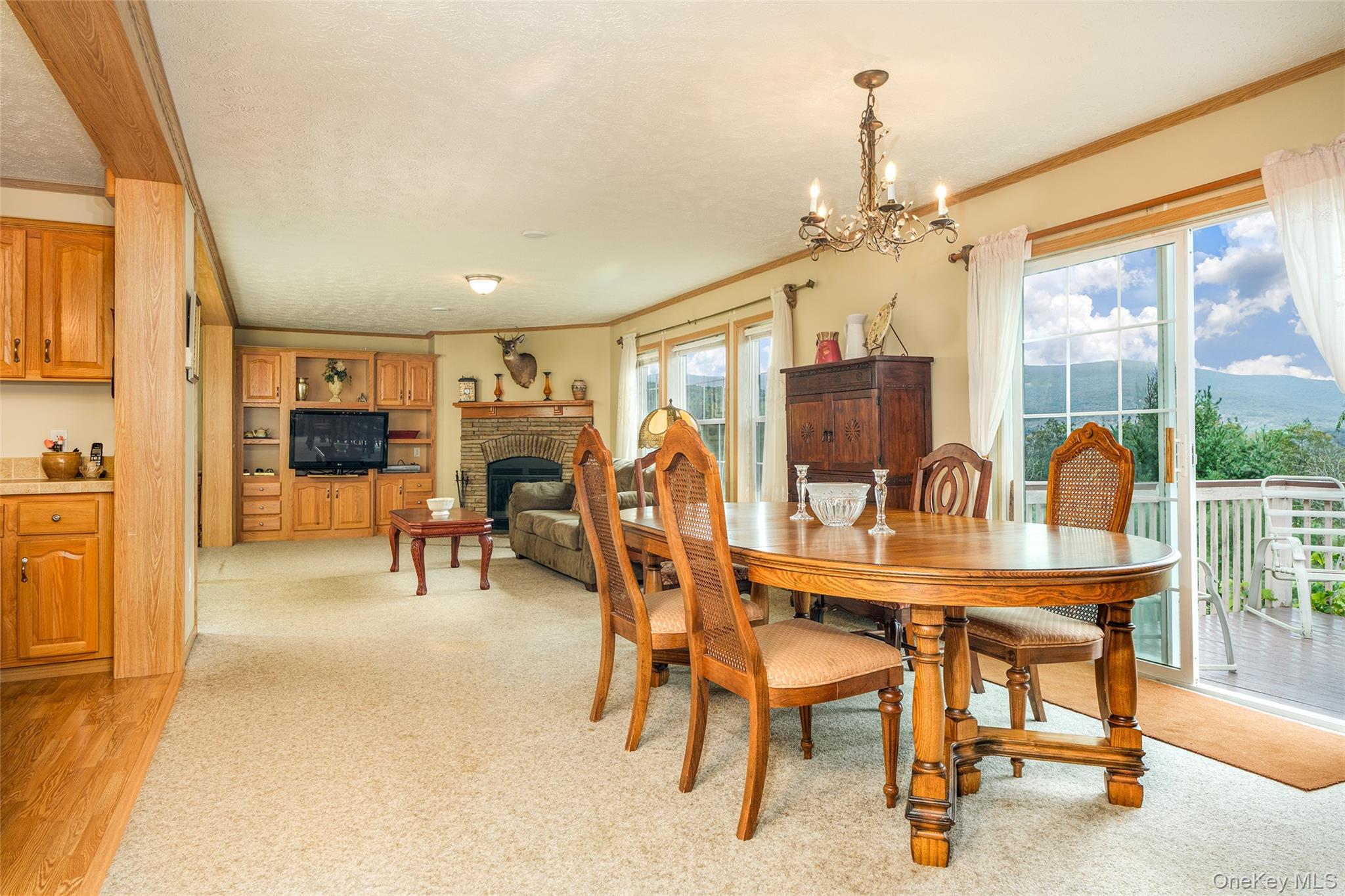 Single Family Potter Mountain Out Of Area, NY 12076, MLS-919135-8