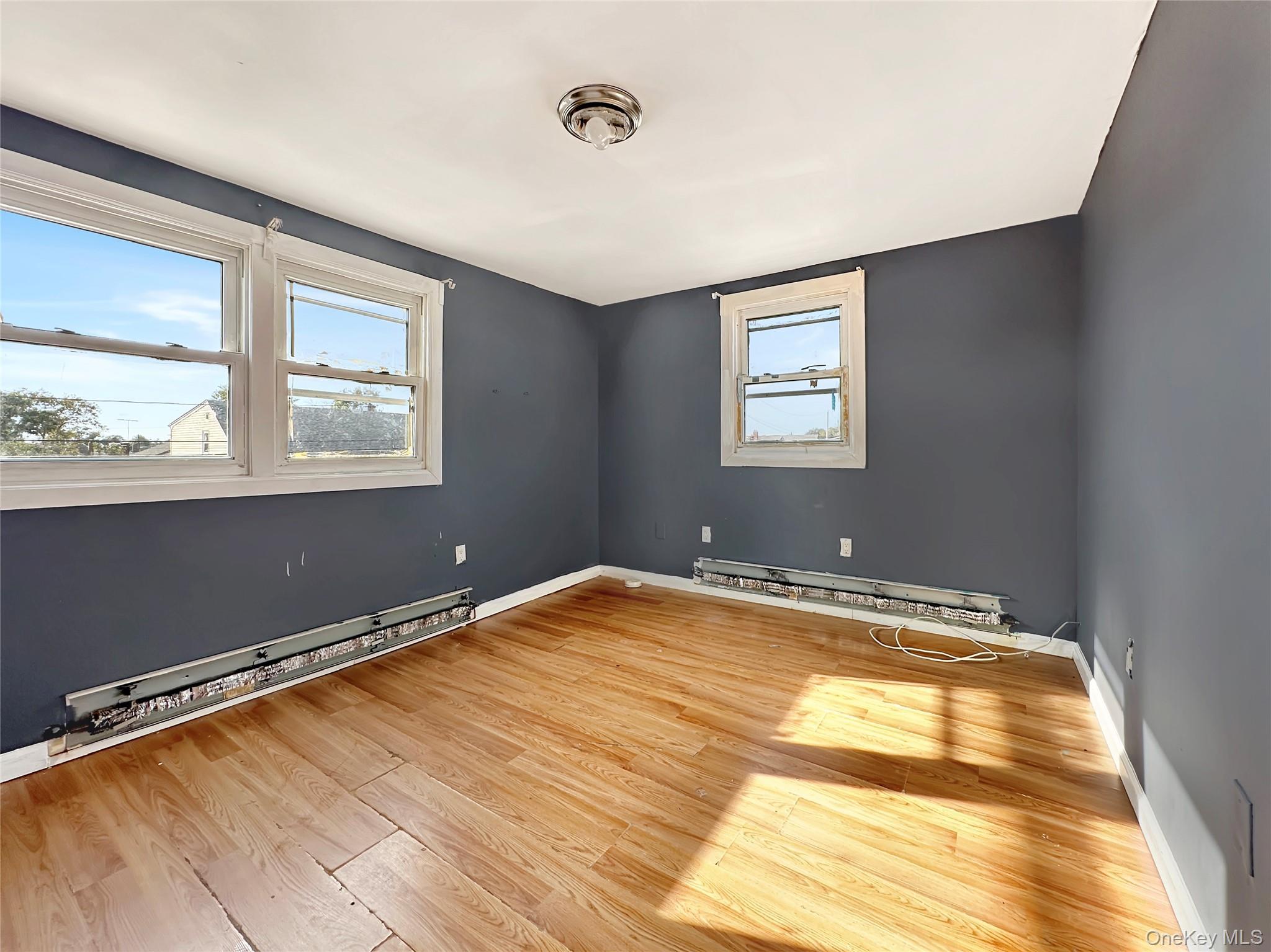 Single Family Elzey  Nassau County, NY 11003, MLS-919151-5