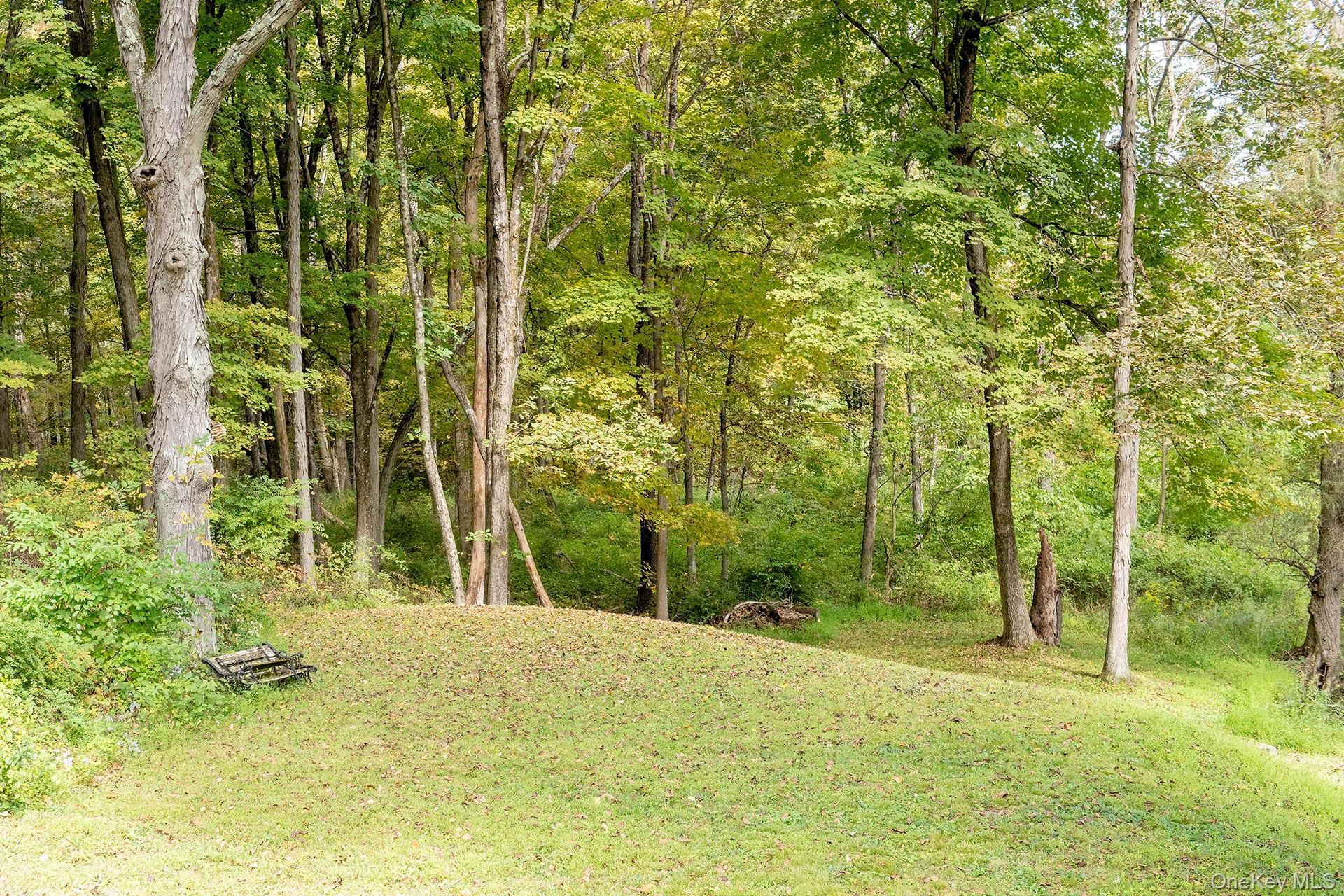 Single Family Clinton Corners Dutchess County, NY 12578, MLS-919200-33