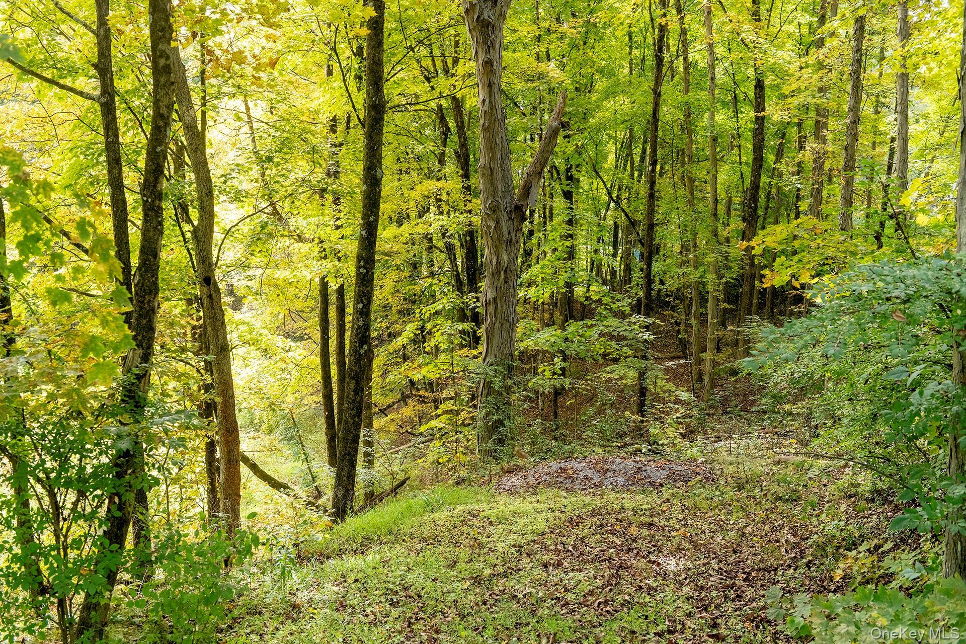 Single Family Clinton Corners Dutchess County, NY 12578, MLS-919200-34