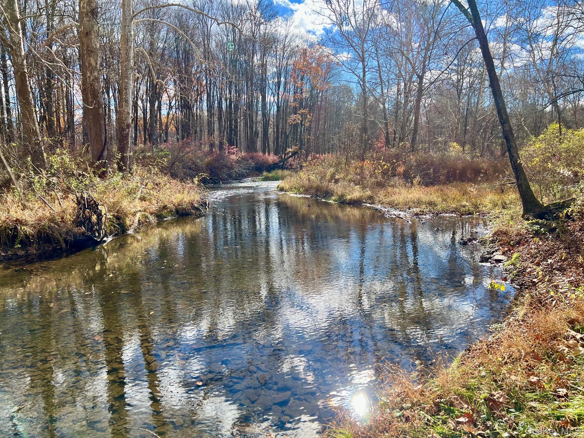 Single Family Clinton Corners Dutchess County, NY 12578, MLS-919200-38