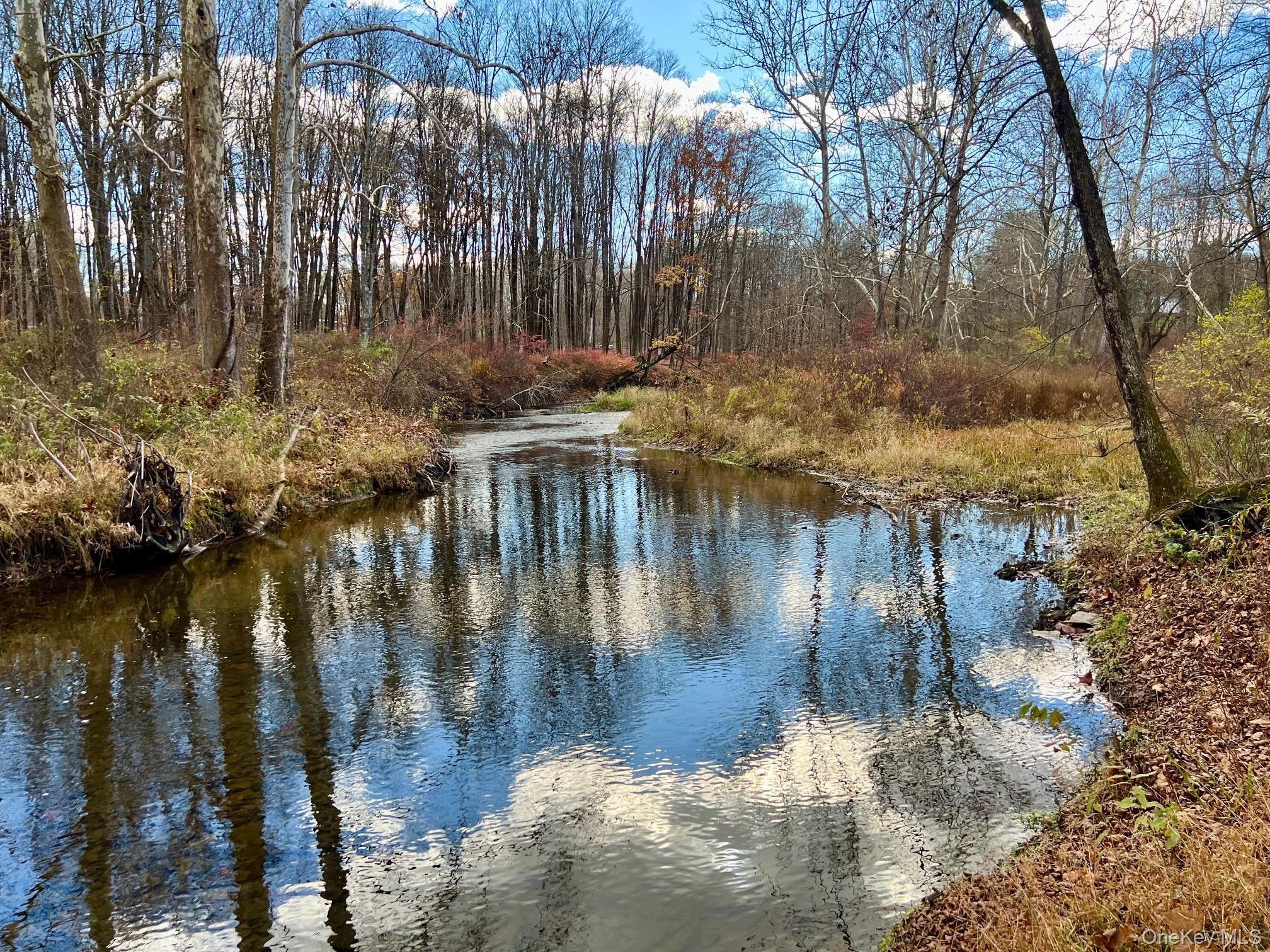 Single Family Clinton Corners Dutchess County, NY 12578, MLS-919200-39