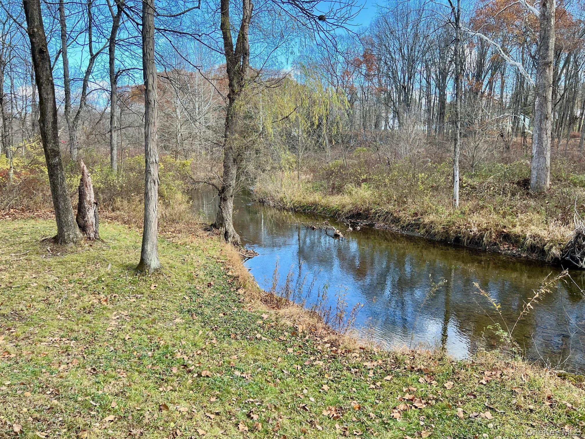 Single Family Clinton Corners Dutchess County, NY 12578, MLS-919200-40