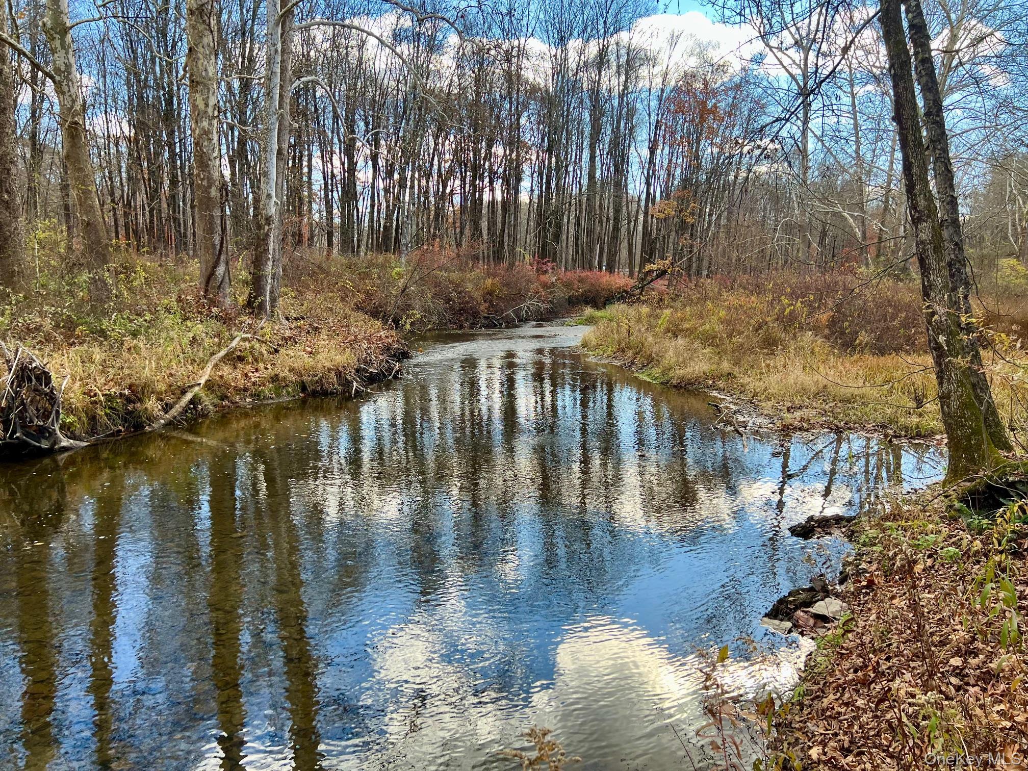 Single Family Clinton Corners  Dutchess County, NY 12578, MLS-919200-41