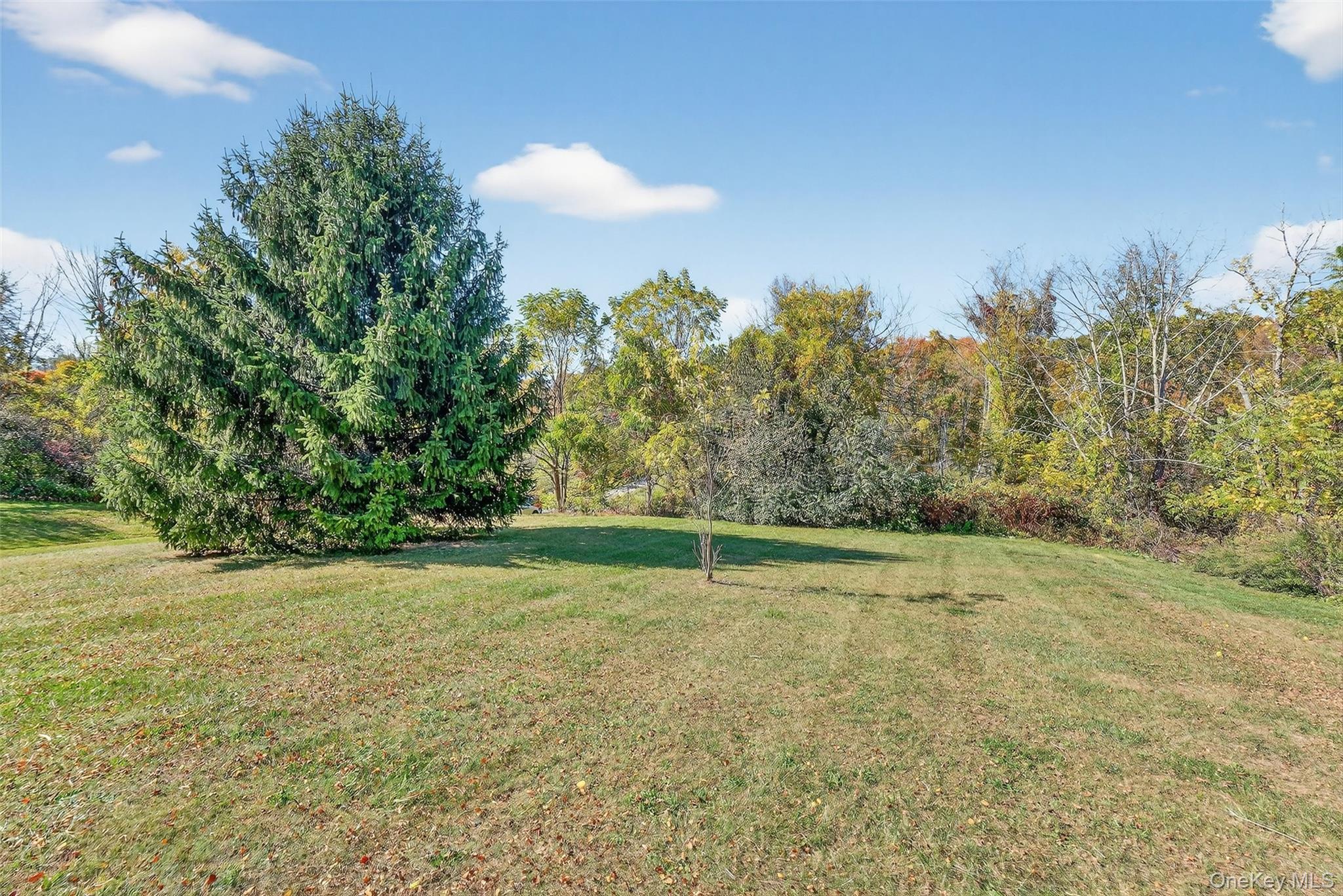 Single Family Waterbury Hill Dutchess County, NY 12540, MLS-919234-43