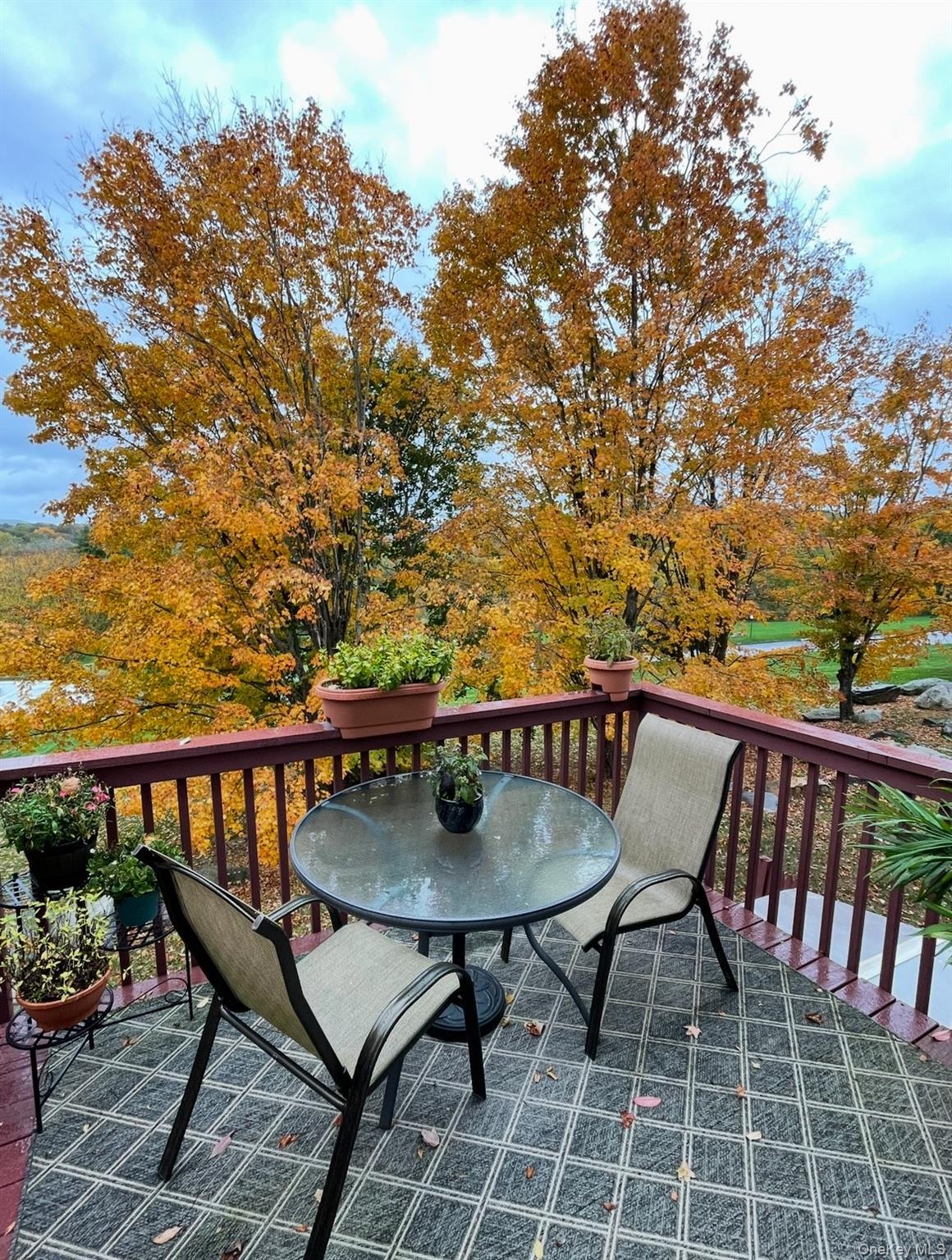 Single Family Williamsburg Putnam County, NY 10541, MLS-919243-6