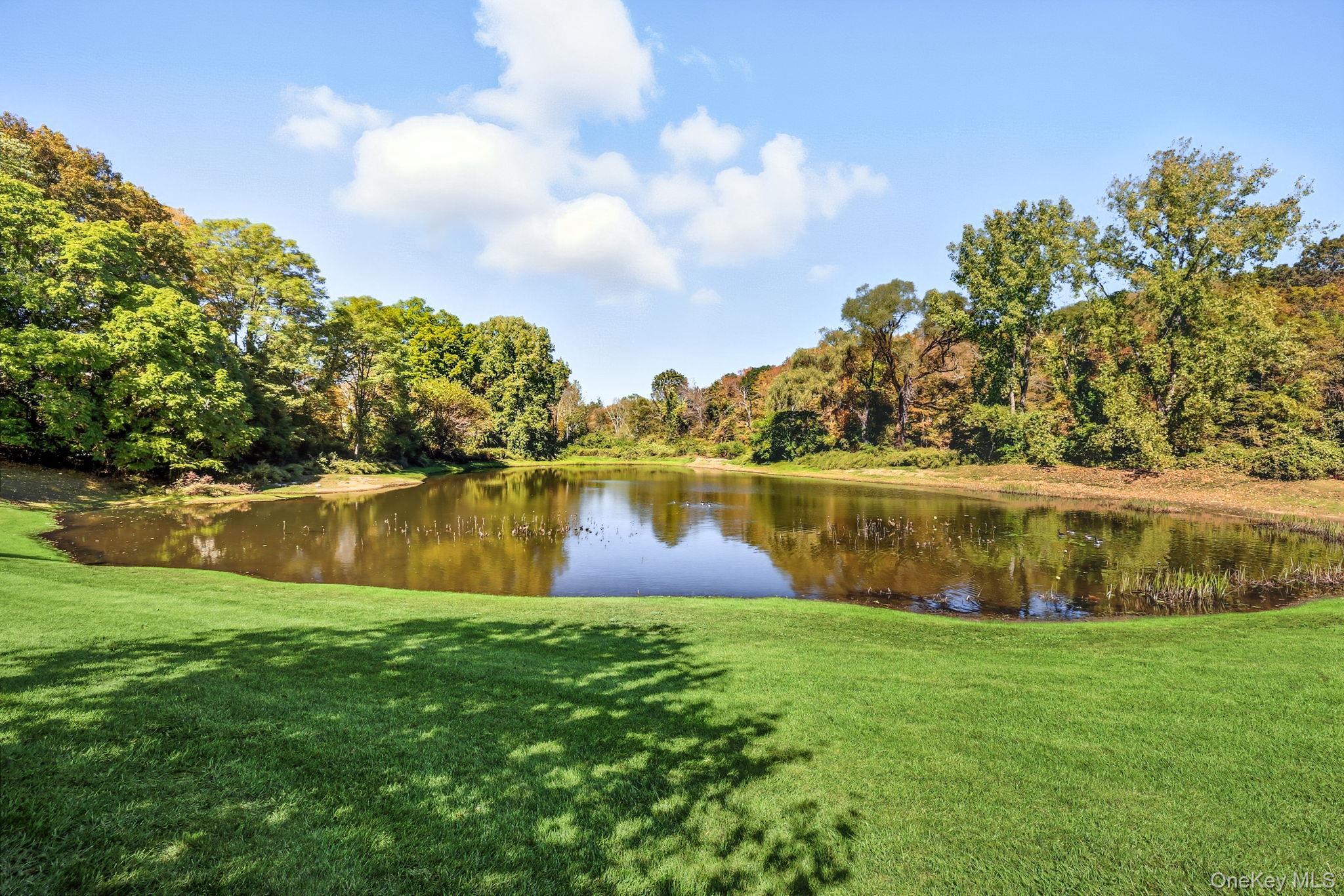 Single Family Krystal Westchester County, NY 10589, MLS-919268-19