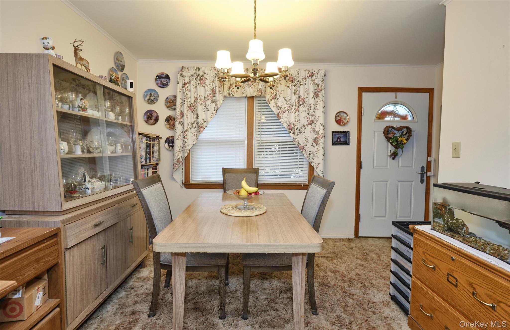 Single Family Covert  Nassau County, NY 11040, MLS-919270-10