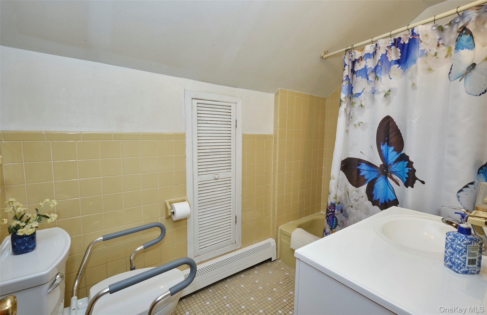 Single Family Covert  Nassau County, NY 11040, MLS-919270-19