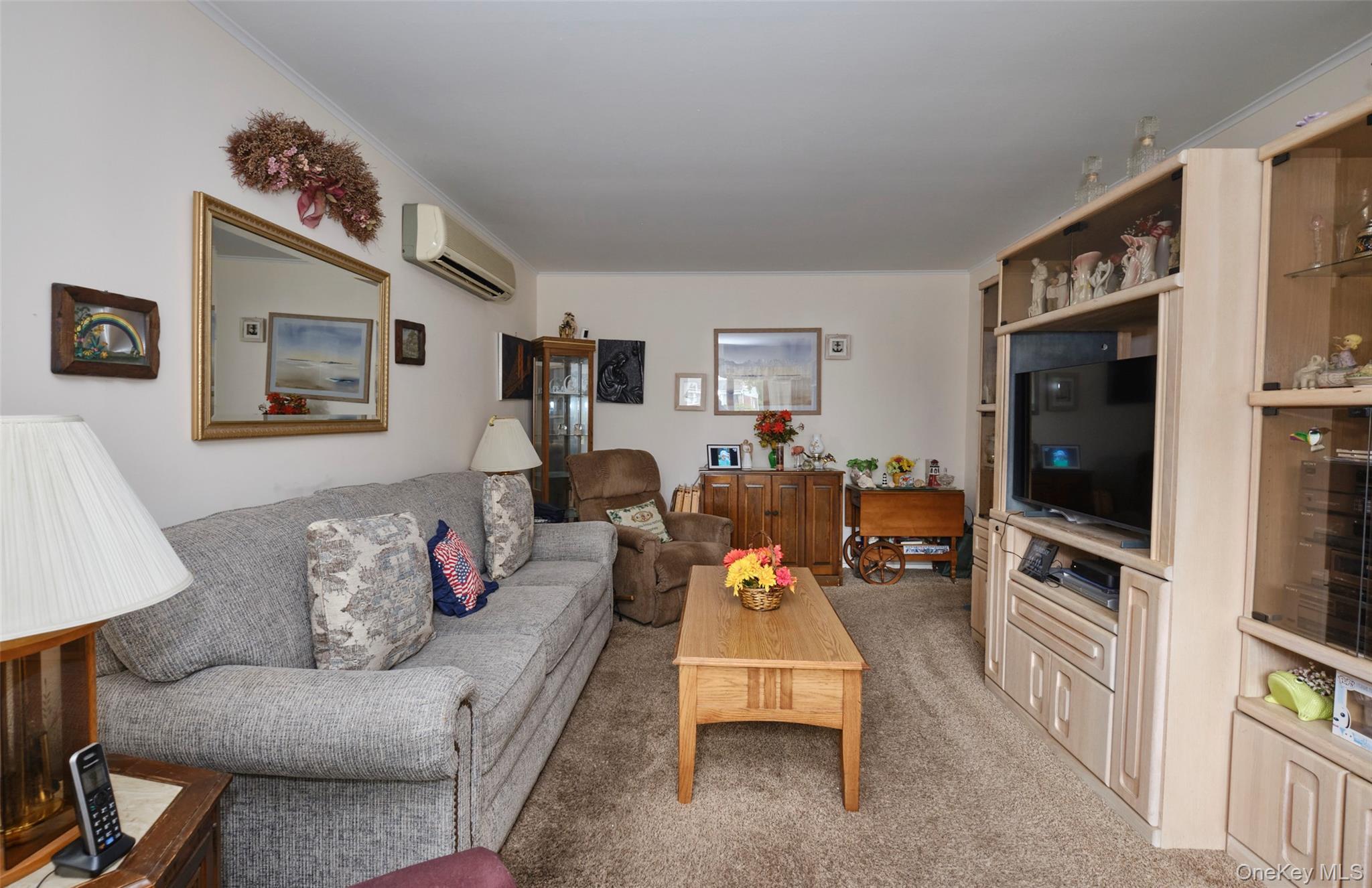 Single Family Covert  Nassau County, NY 11040, MLS-919270-6