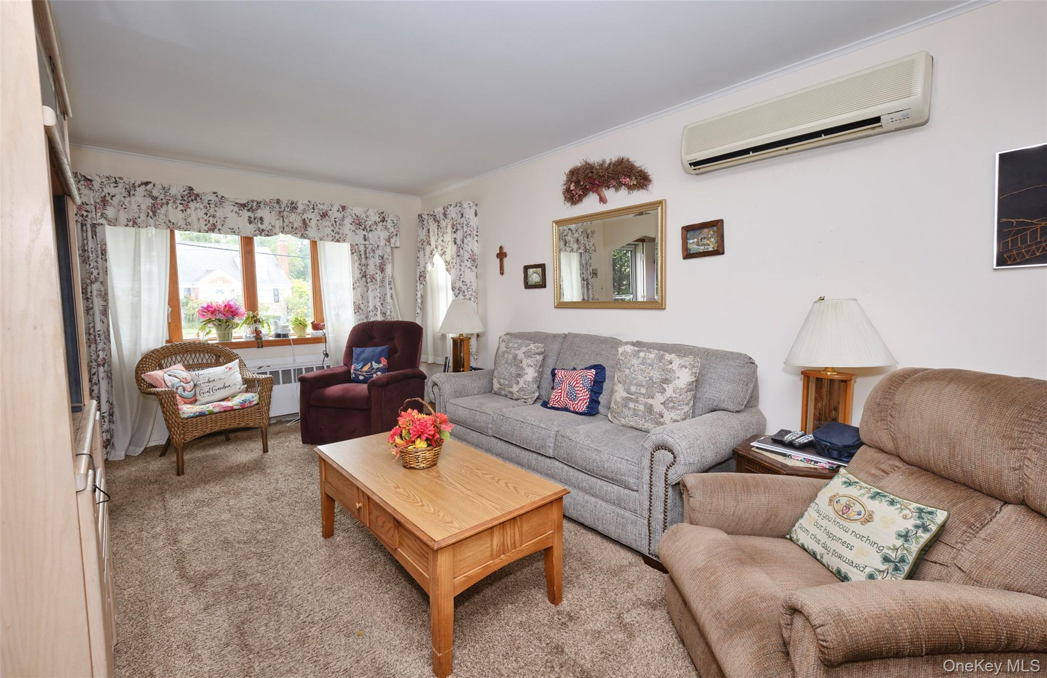 Single Family Covert  Nassau County, NY 11040, MLS-919270-7