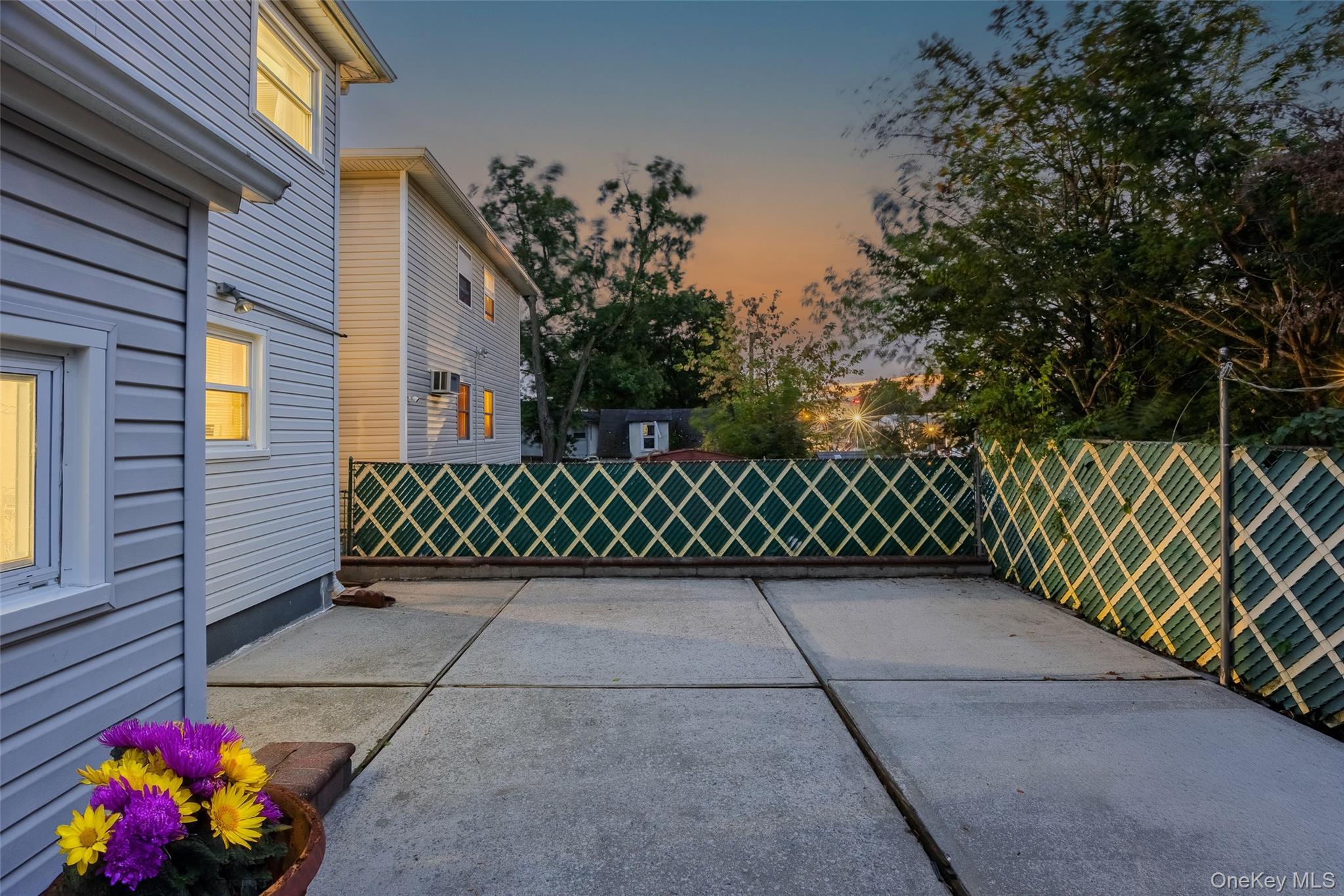 Single Family Carnegie Nassau County, NY 11003, MLS-919298-3