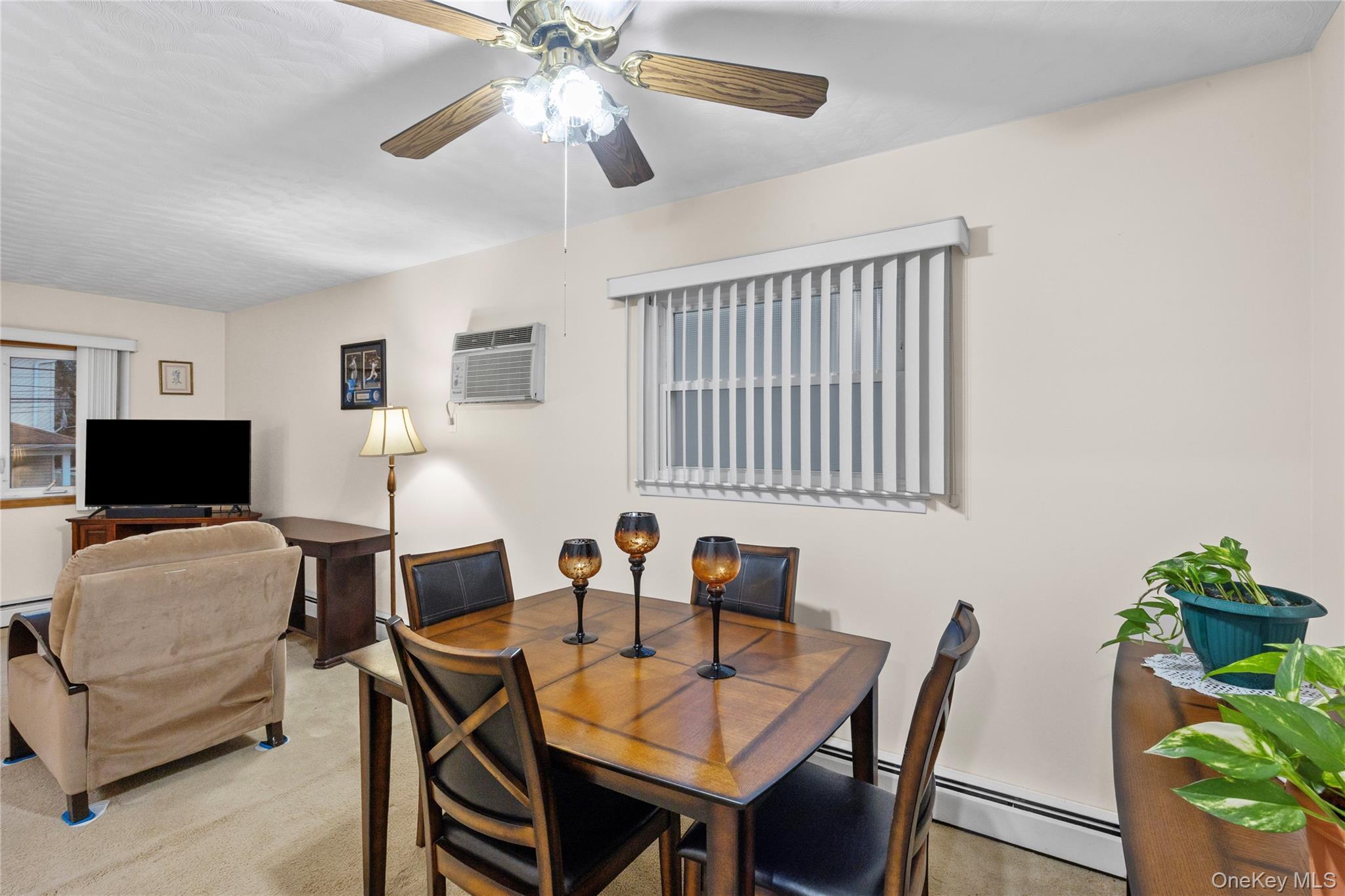 Single Family Carnegie Nassau County, NY 11003, MLS-919298-9