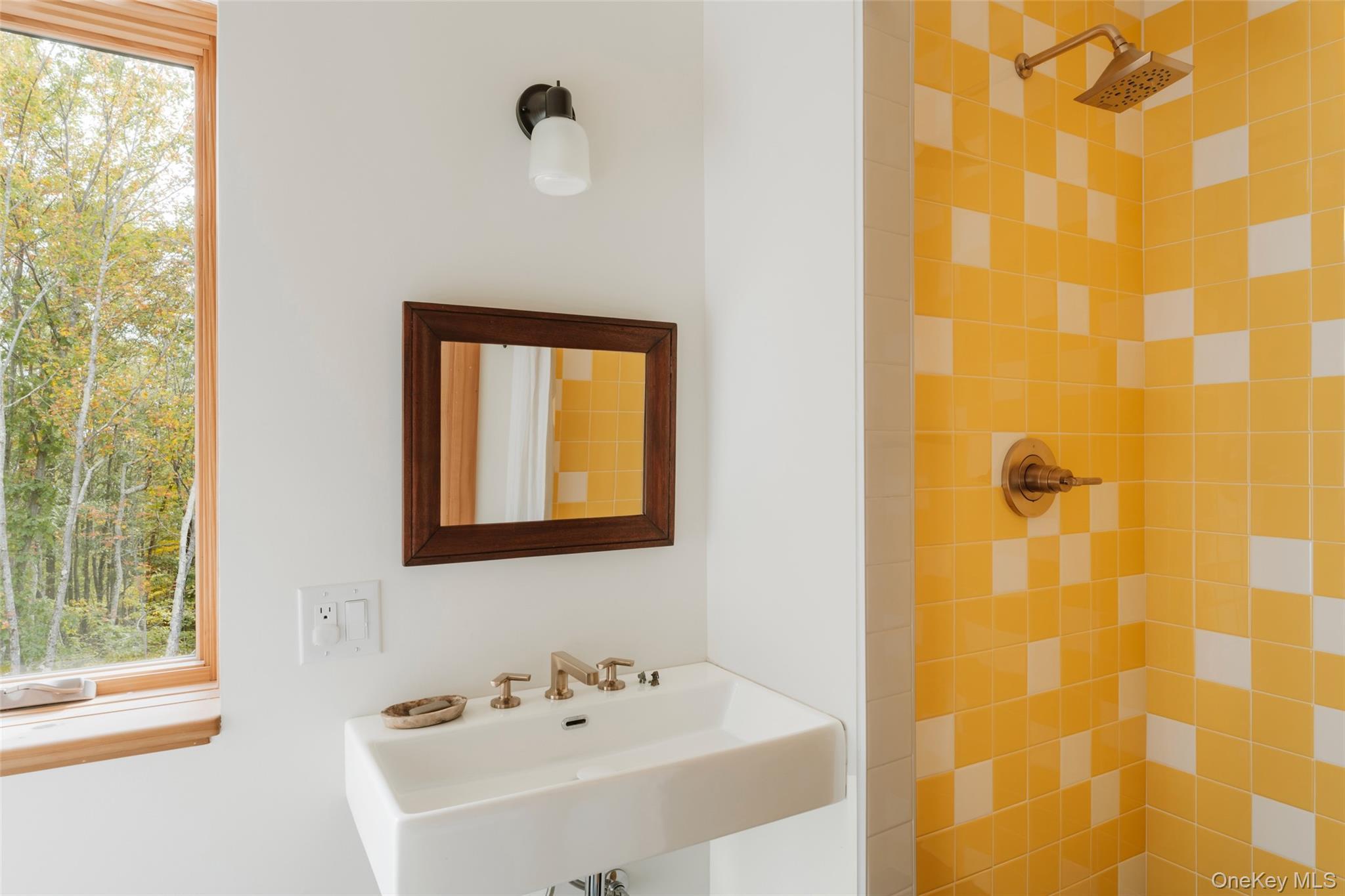 Single Family Camp Adventure  Ulster County, NY 12446, MLS-919323-17