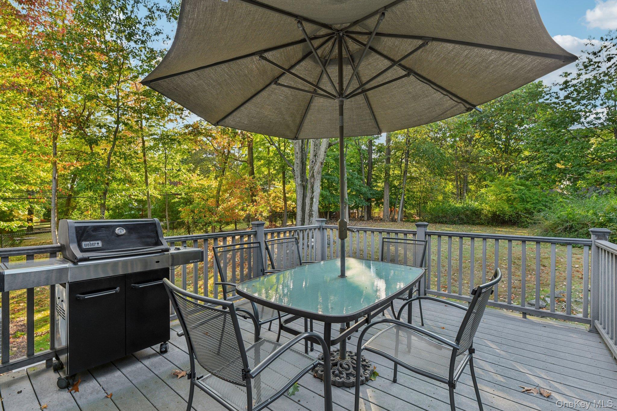 Single Family Hilltop  Rockland County, NY 10960, MLS-919329-6