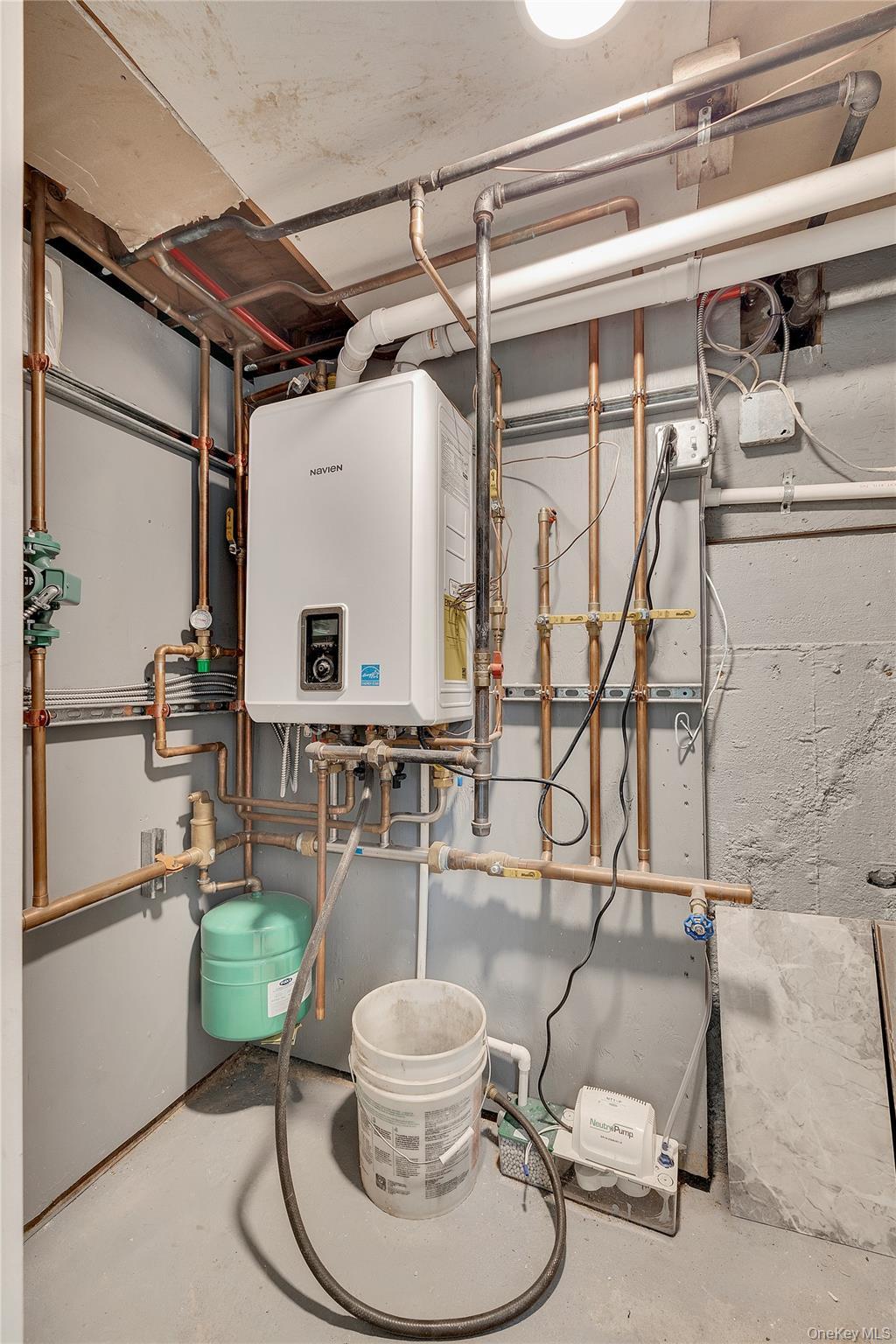 Single Family Tree  Suffolk County, NY 11722, MLS-919371-24