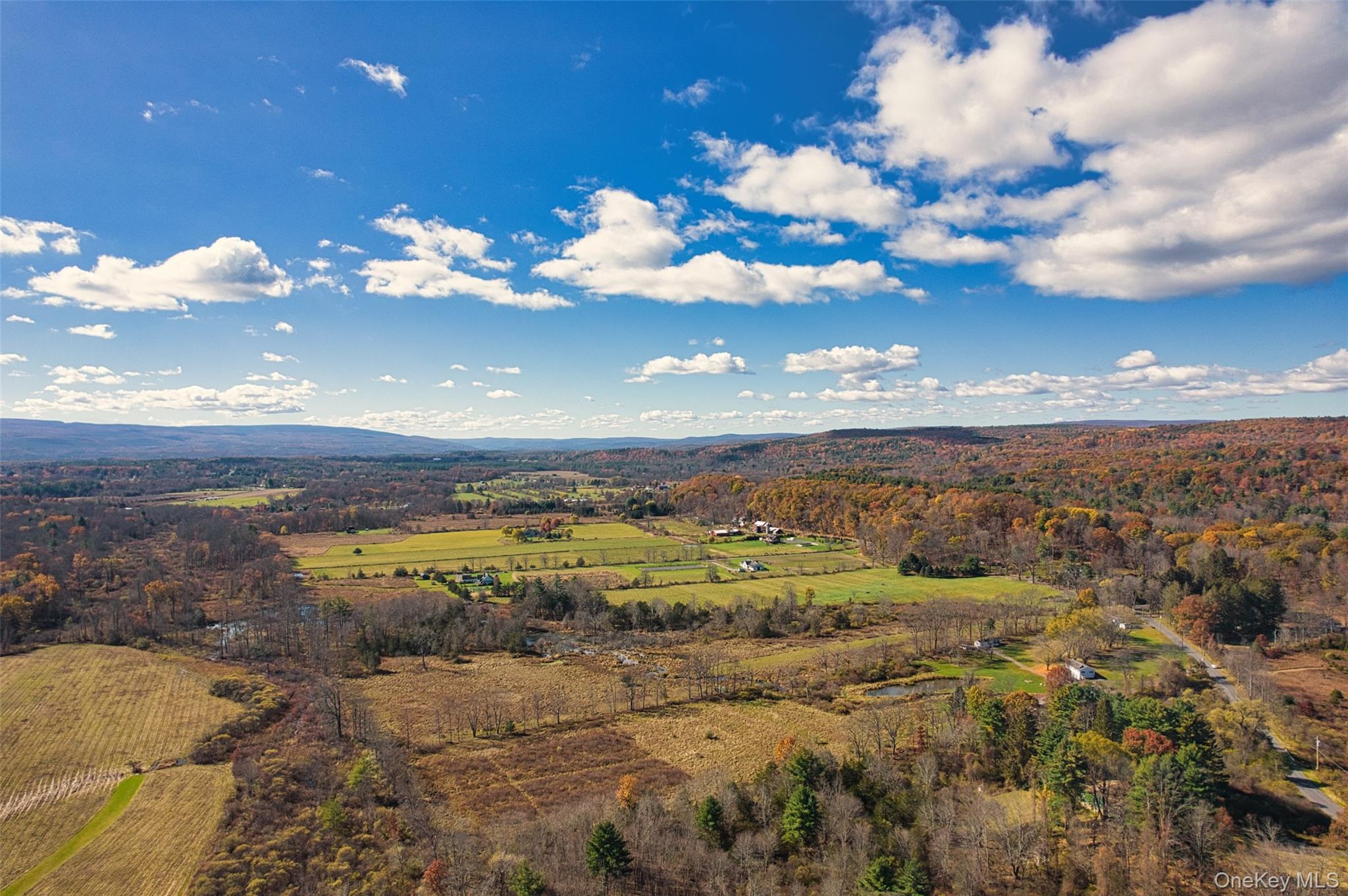 Single Family Pine Bush Ulster County, NY 12484, MLS-919391-39