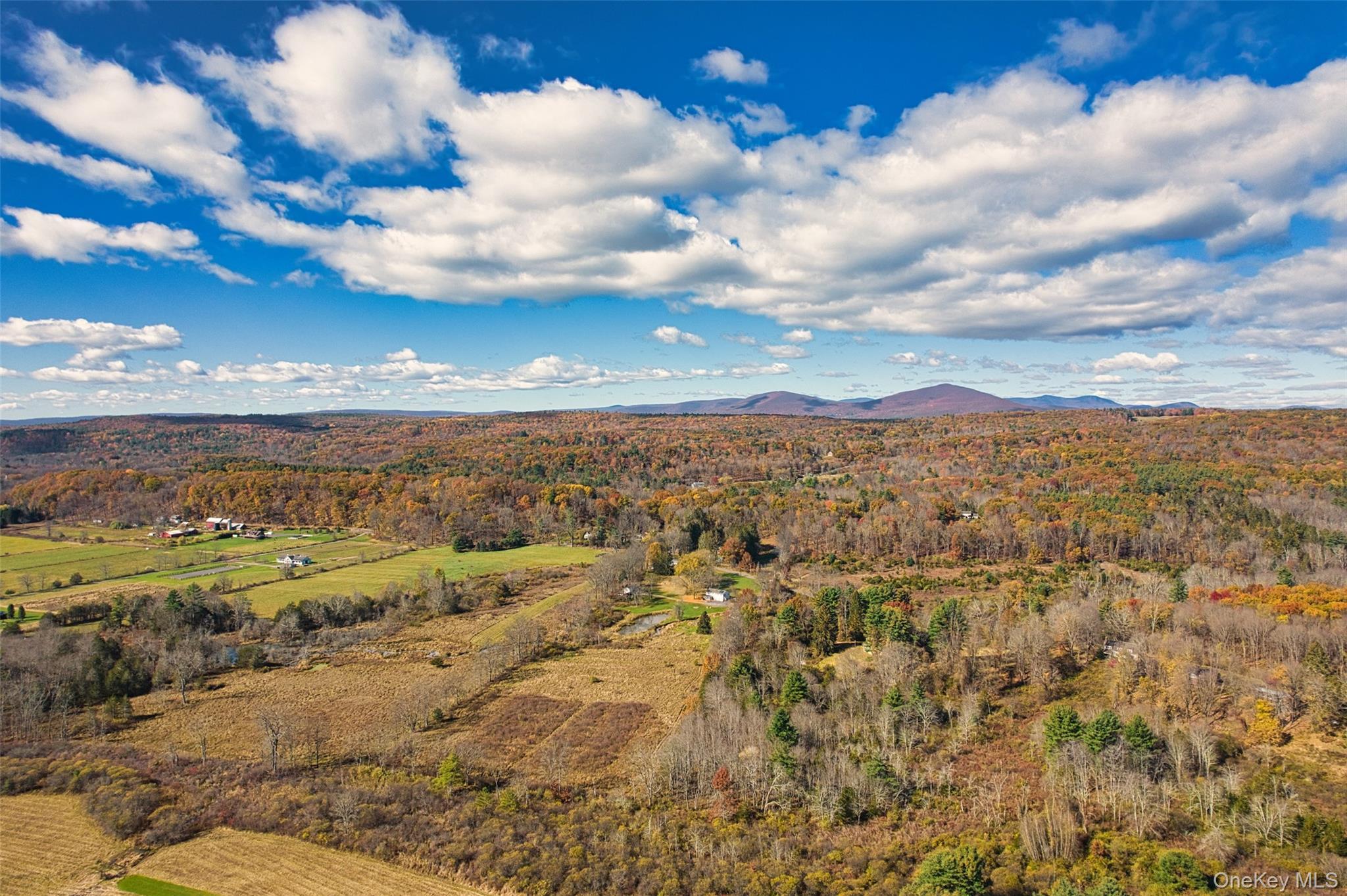 Single Family Pine Bush  Ulster County, NY 12484, MLS-919391-40