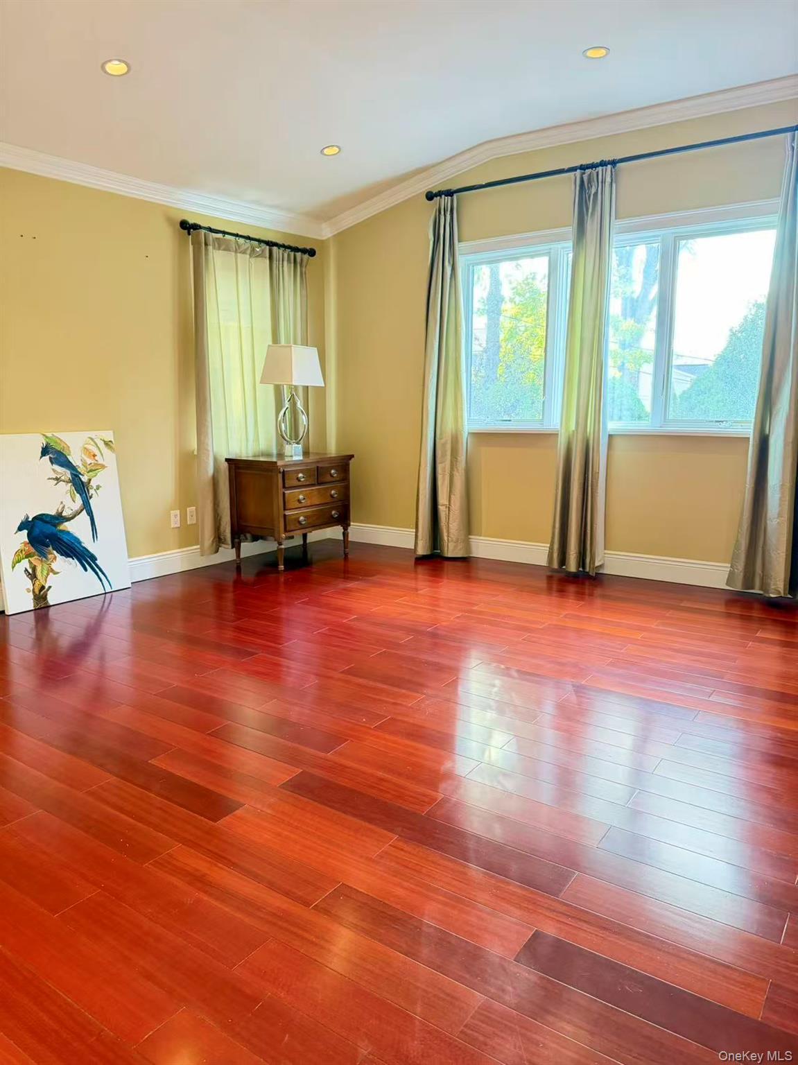 Single Family Livingston Nassau County, NY 11753, MLS-919394-11