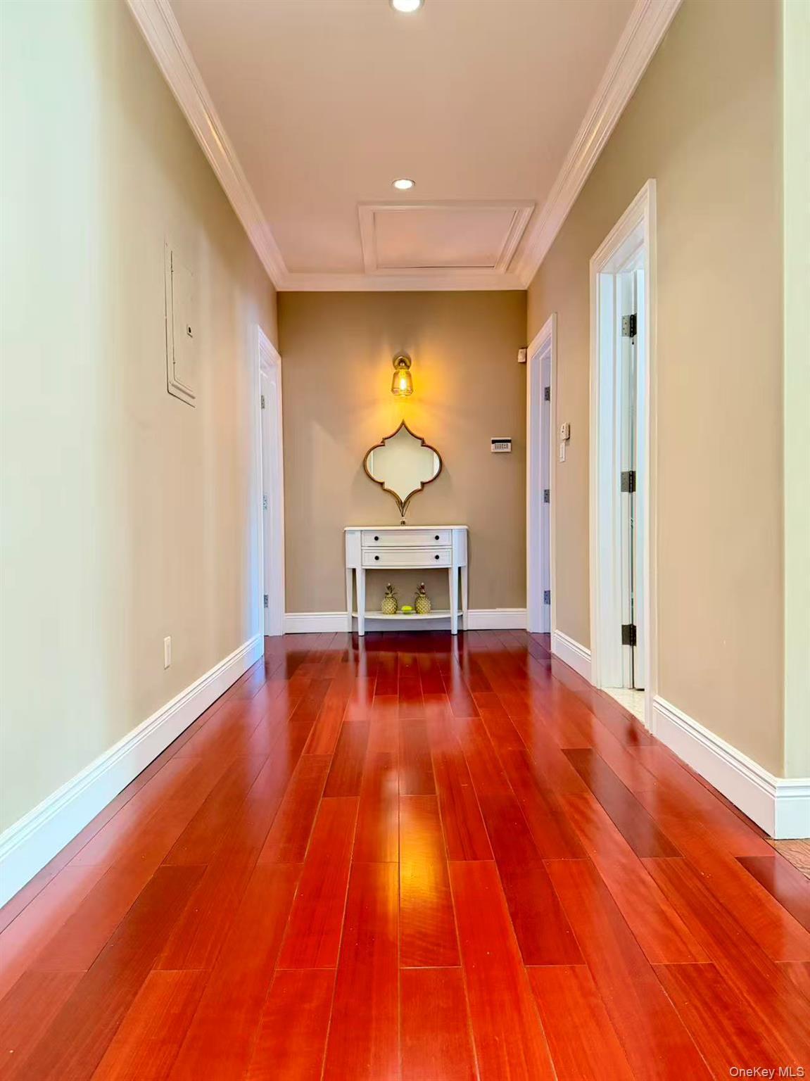 Single Family Livingston Nassau County, NY 11753, MLS-919394-13