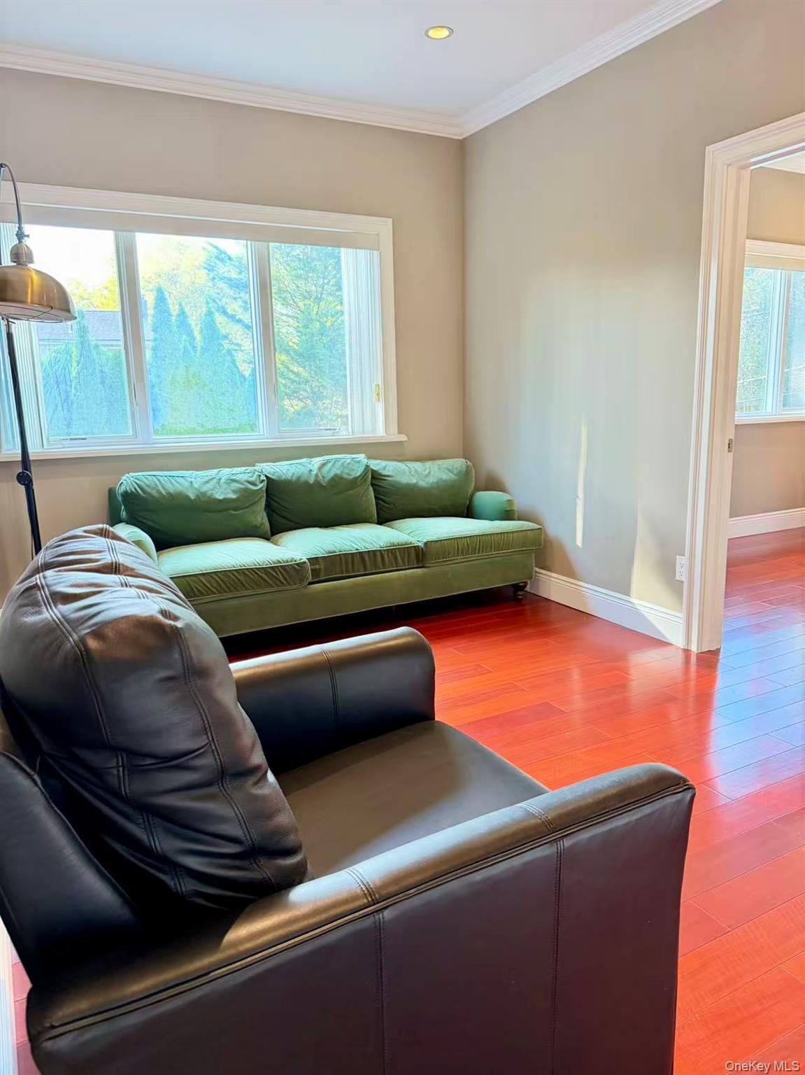 Single Family Livingston Nassau County, NY 11753, MLS-919394-16