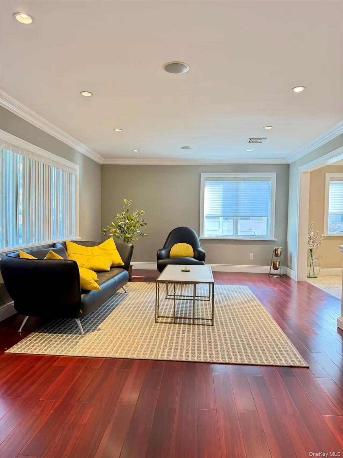 Single Family Livingston Nassau County, NY 11753, MLS-919394-21