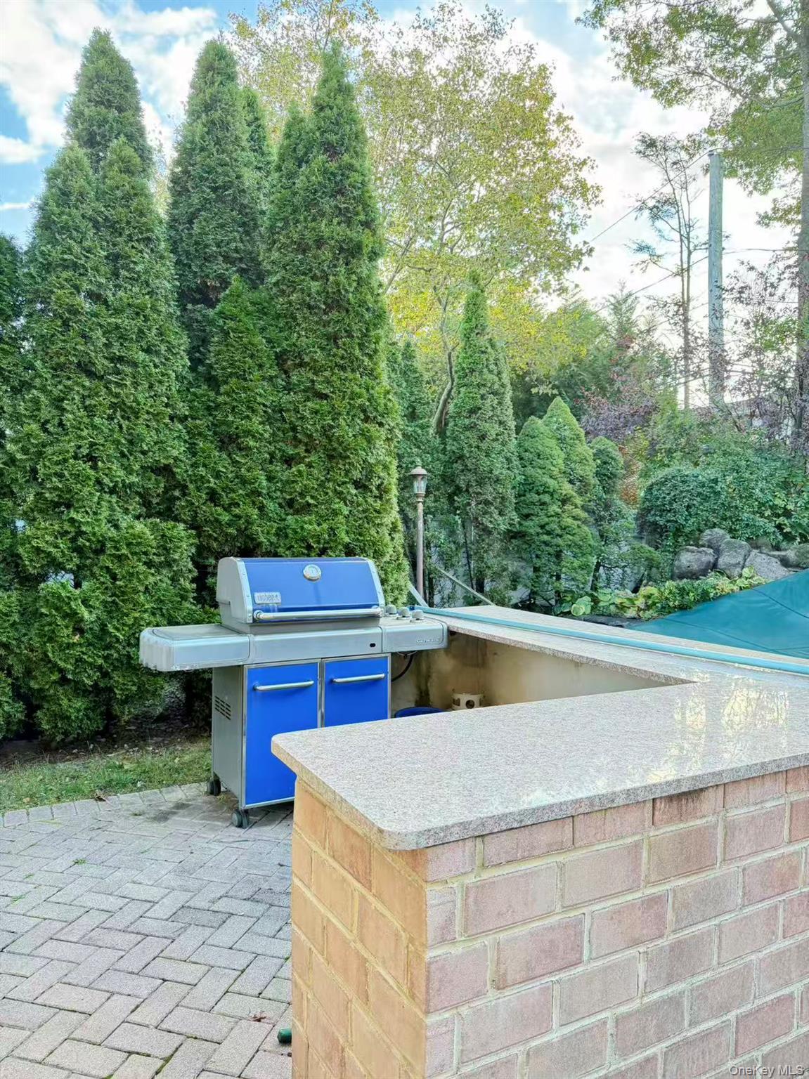 Single Family Livingston Nassau County, NY 11753, MLS-919394-23