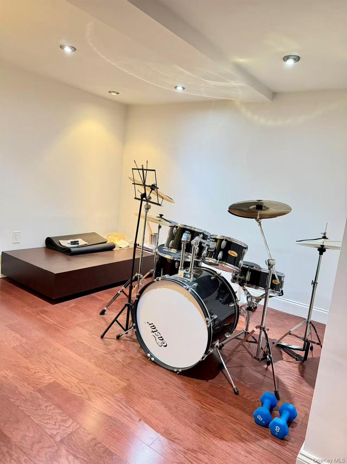 Single Family Livingston Nassau County, NY 11753, MLS-919394-25