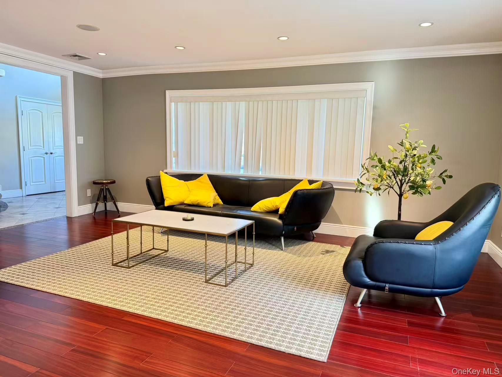 Single Family Livingston Nassau County, NY 11753, MLS-919394-27