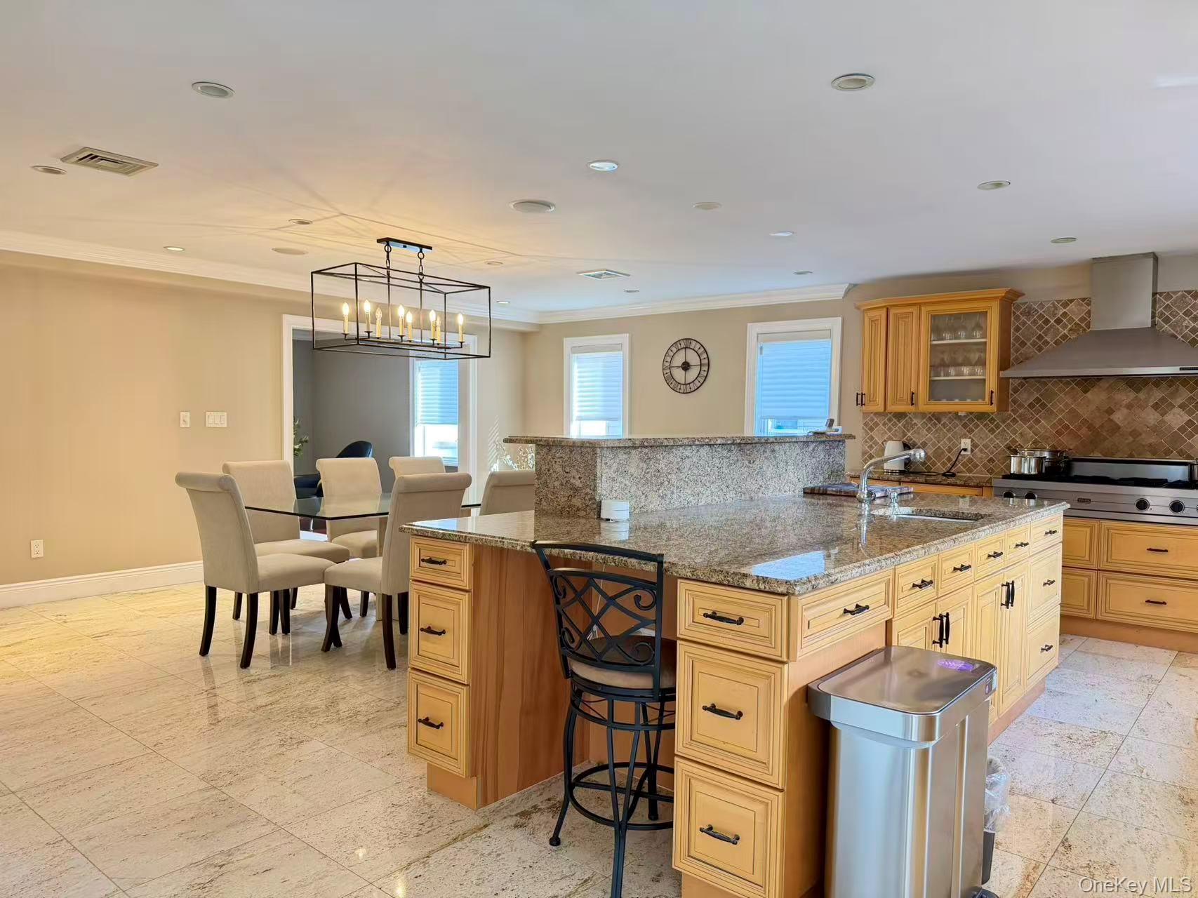 Single Family Livingston Nassau County, NY 11753, MLS-919394-28