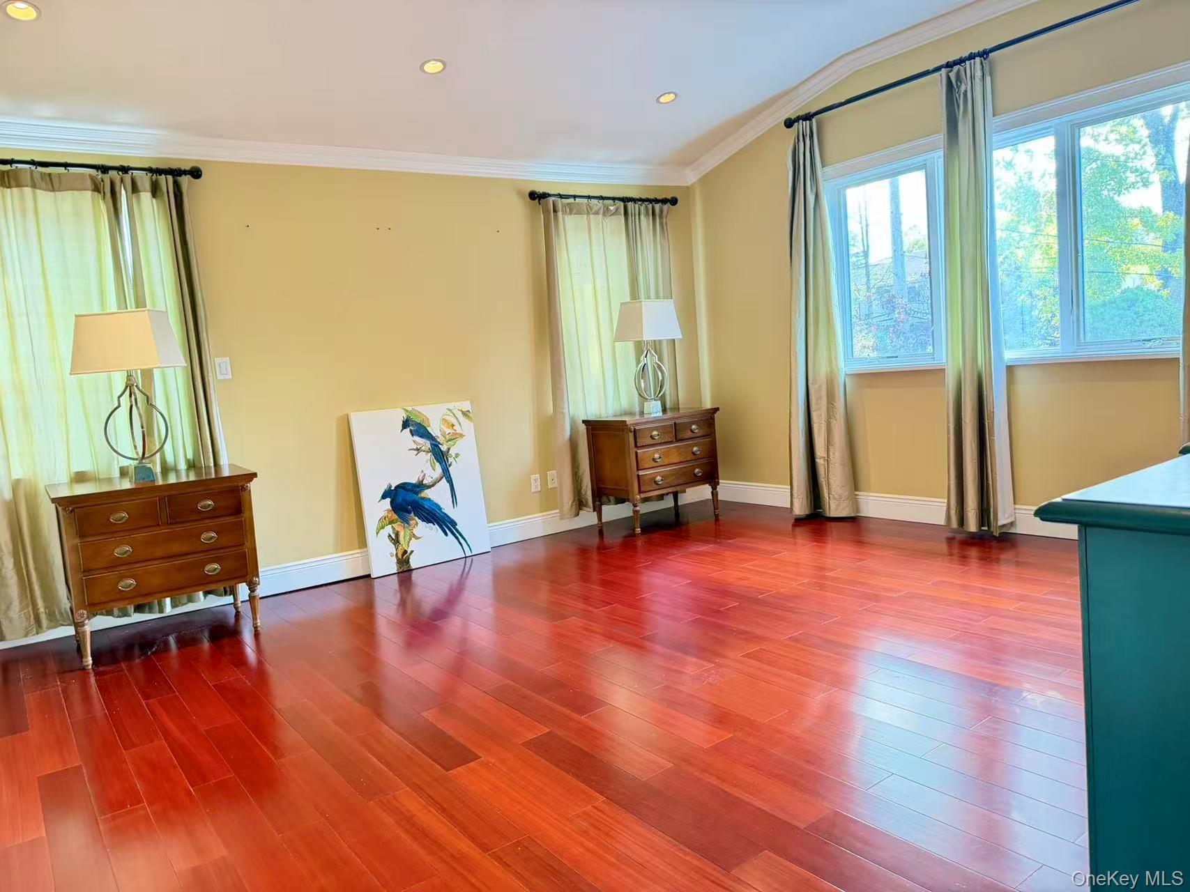 Single Family Livingston Nassau County, NY 11753, MLS-919394-6