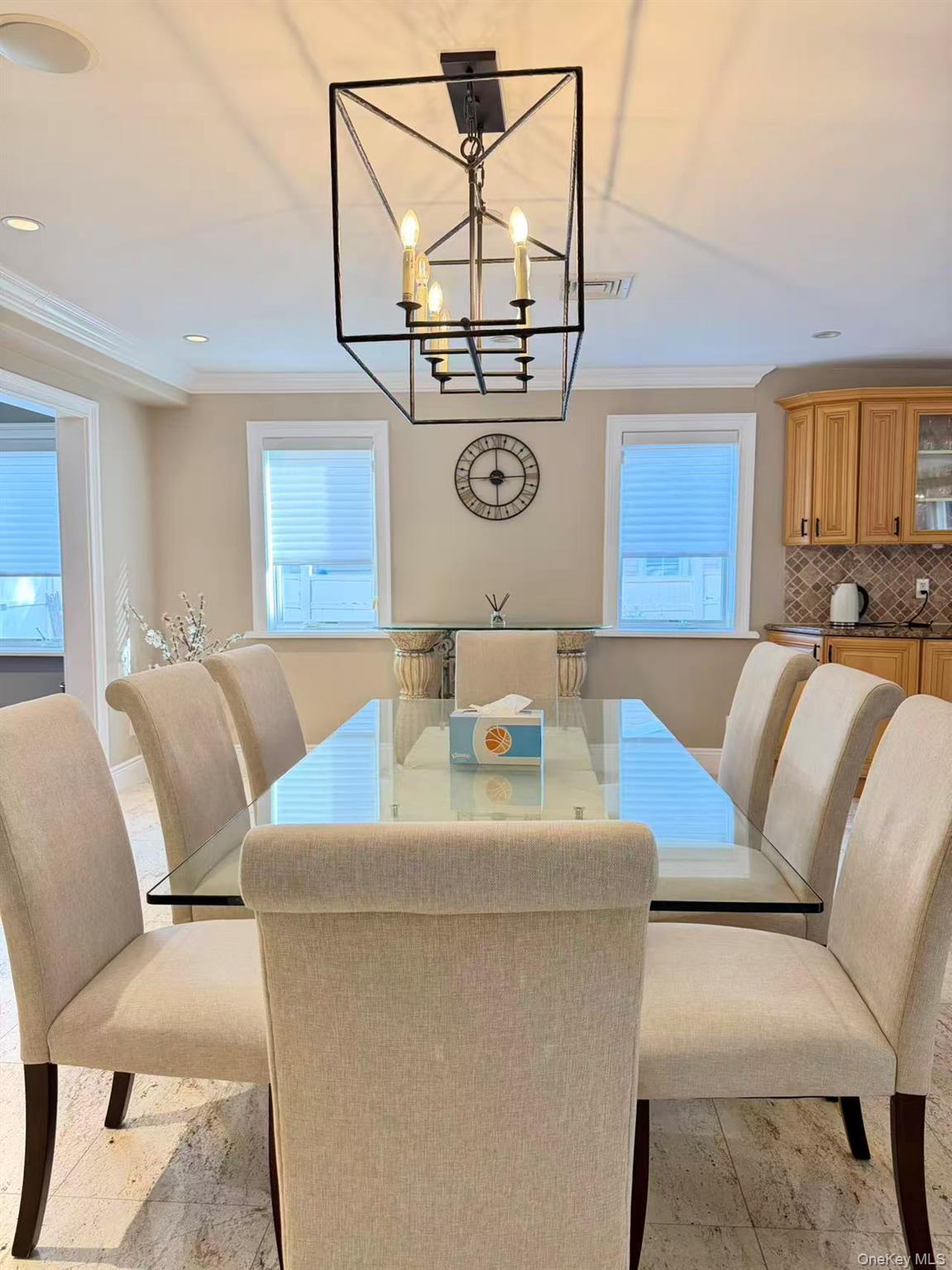 Single Family Livingston Nassau County, NY 11753, MLS-919394-8