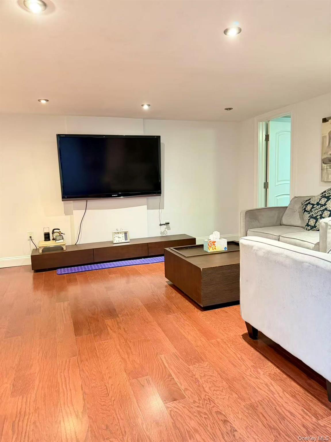 Single Family Livingston Nassau County, NY 11753, MLS-919394-9