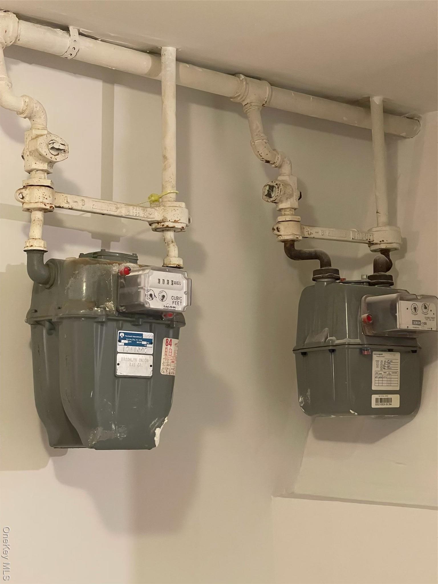 Single Family 109th Queens, NY 11368, MLS-919509-2