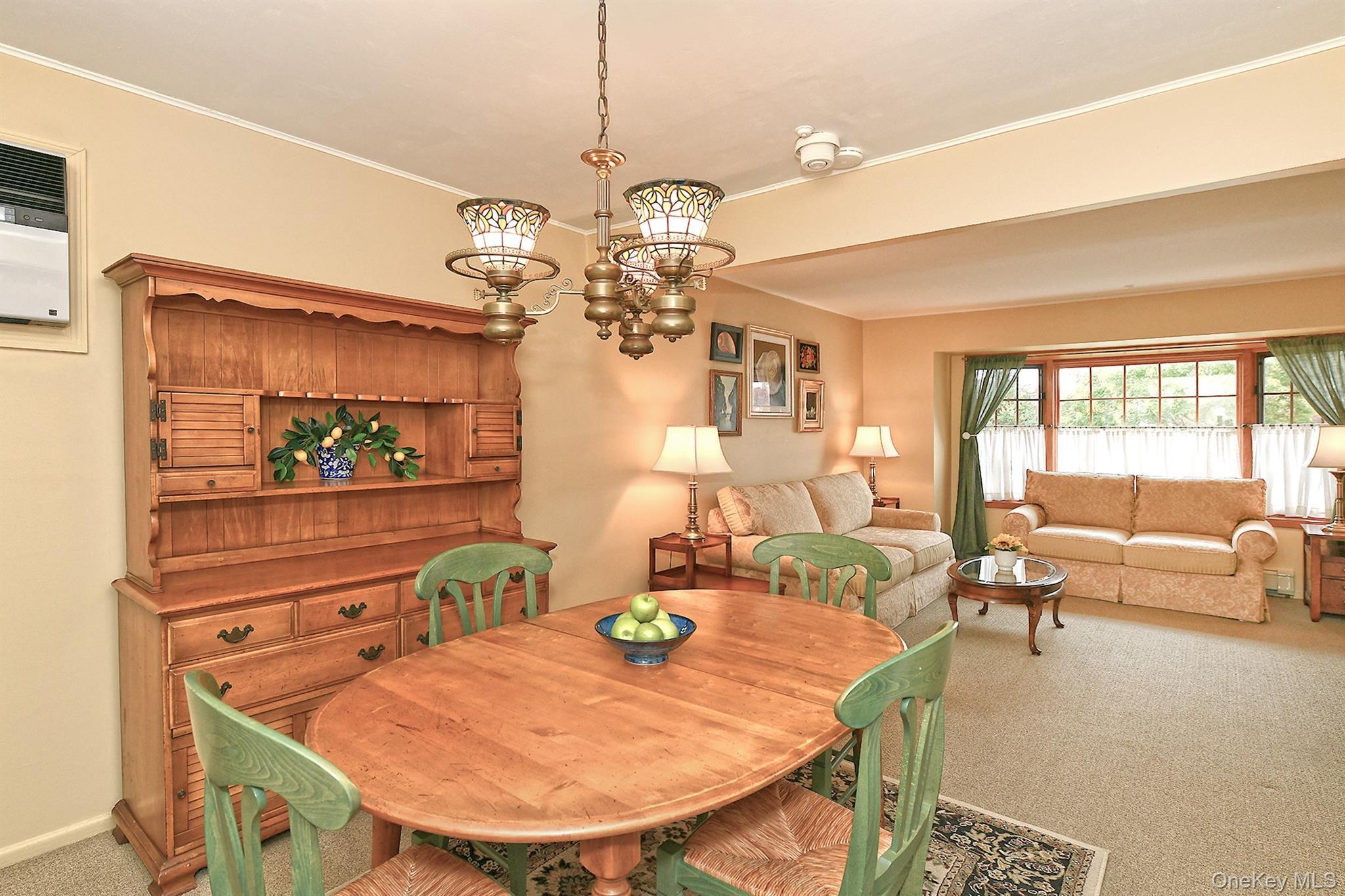 Single Family Halcourt  Nassau County, NY 11803, MLS-919549-7