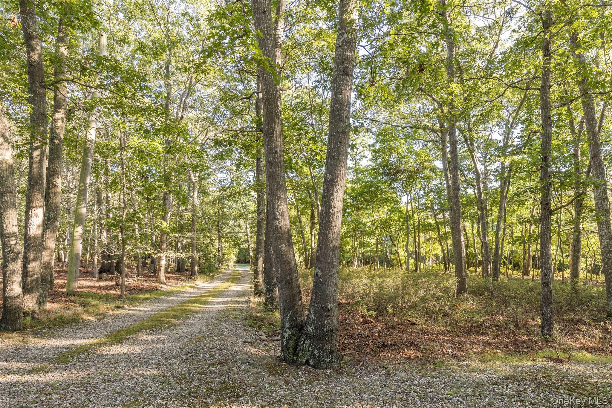 Single Family Town Suffolk County, NY 11930, MLS-919569-23