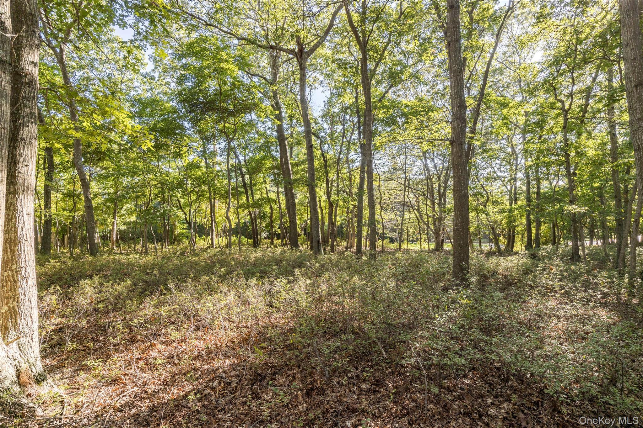 Single Family Town Suffolk County, NY 11930, MLS-919569-24