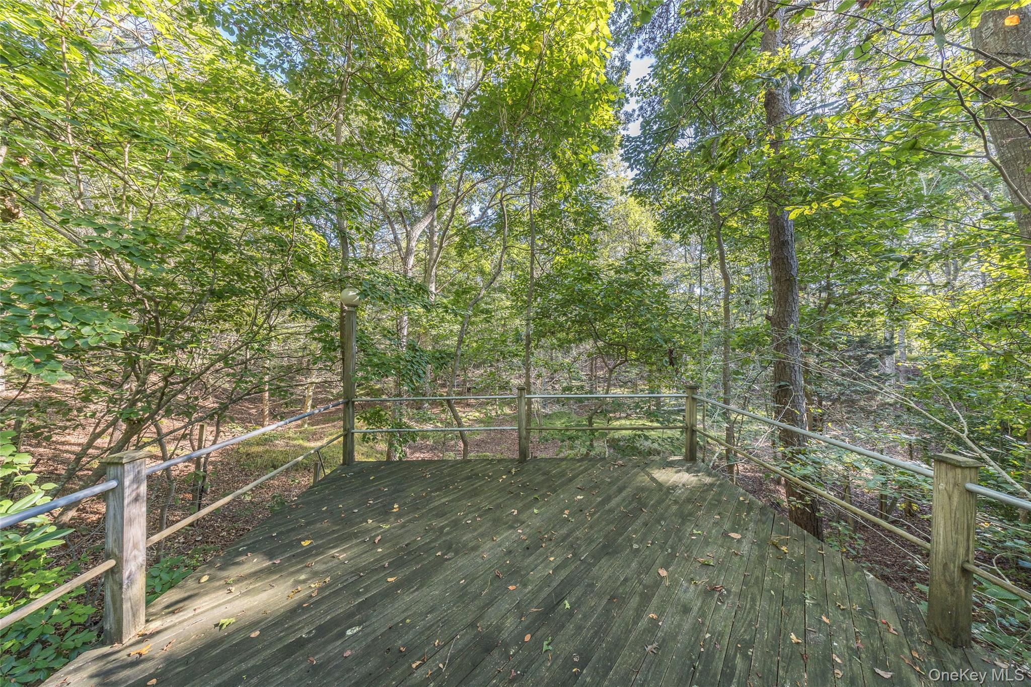 Single Family Town Suffolk County, NY 11930, MLS-919569-35