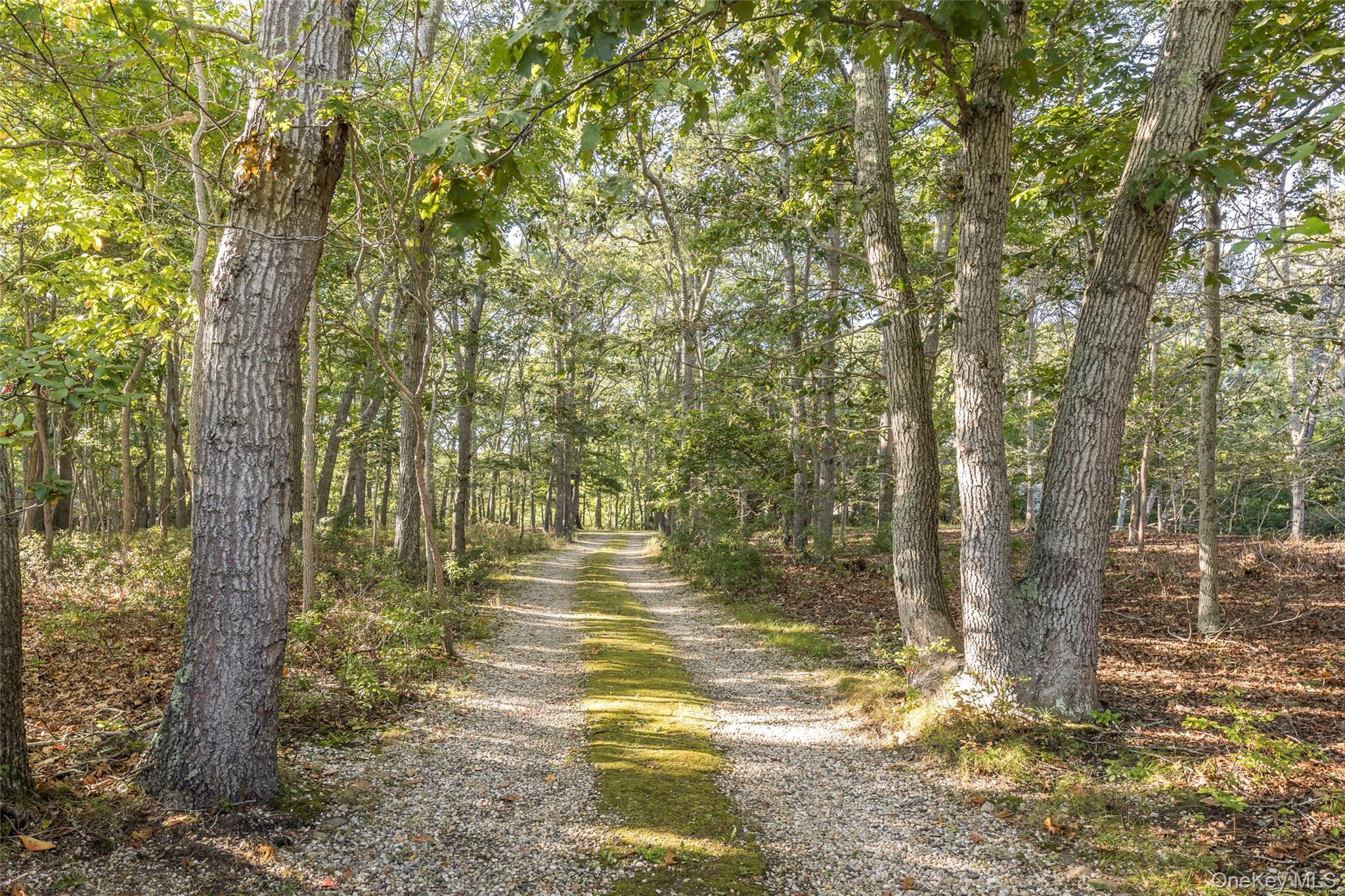 Single Family Town Suffolk County, NY 11930, MLS-919569-36