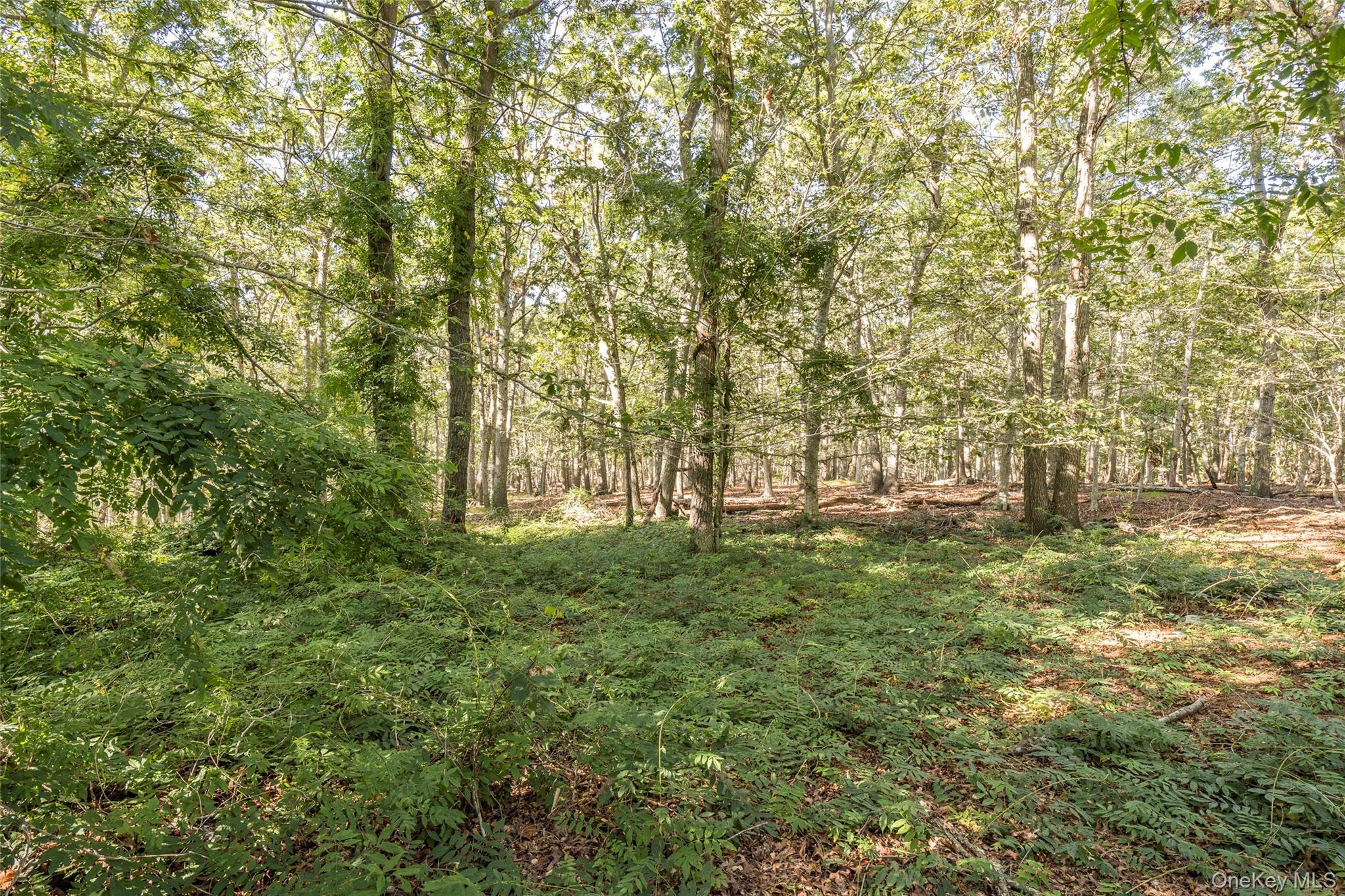 Single Family Town Suffolk County, NY 11930, MLS-919569-37