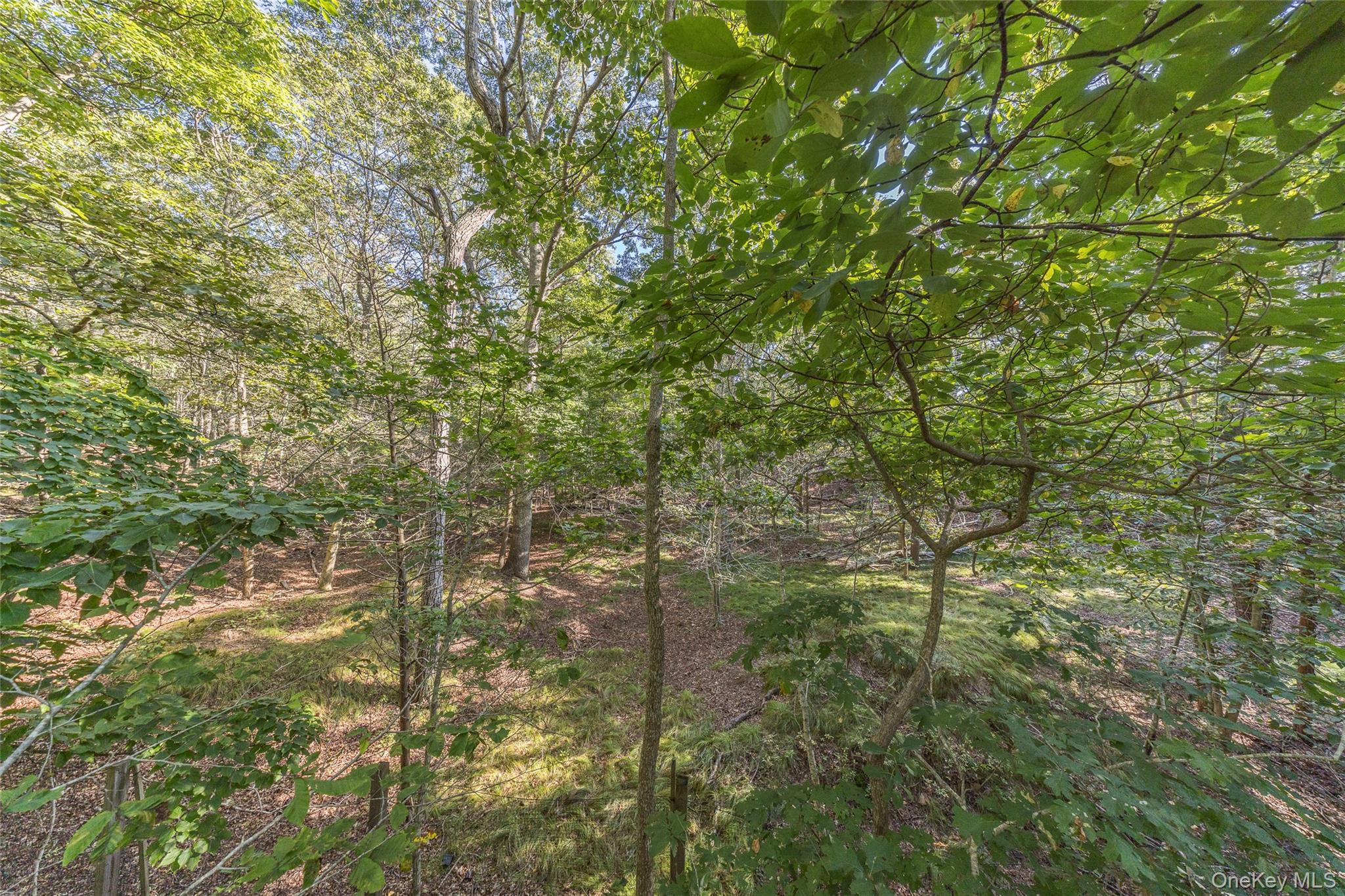 Single Family Town  Suffolk County, NY 11930, MLS-919569-38