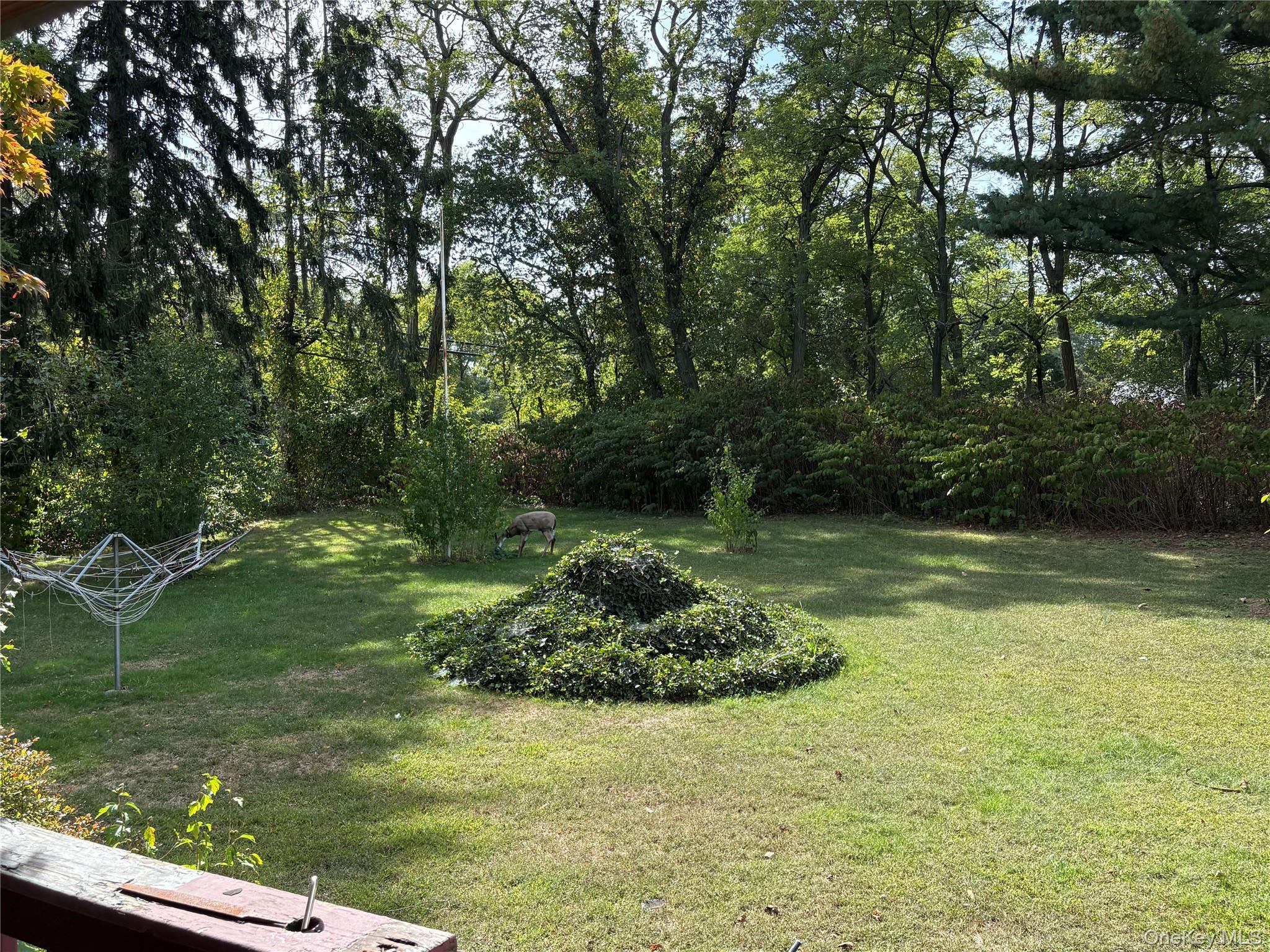 Single Family Pine Suffolk County, NY 11779, MLS-919585-3