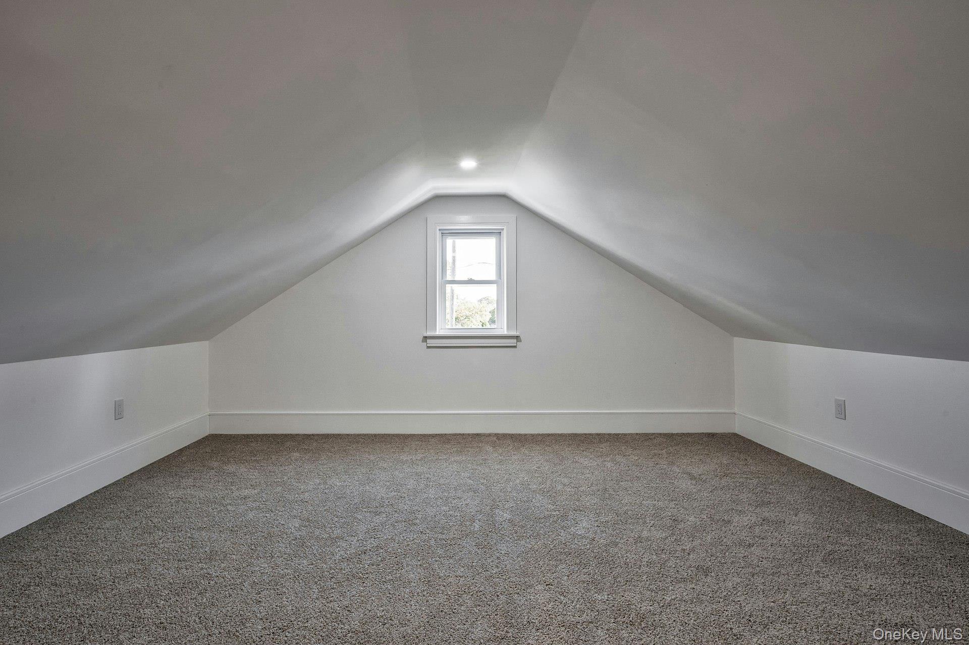 Single Family Long Nassau County, NY 11550, MLS-919692-36