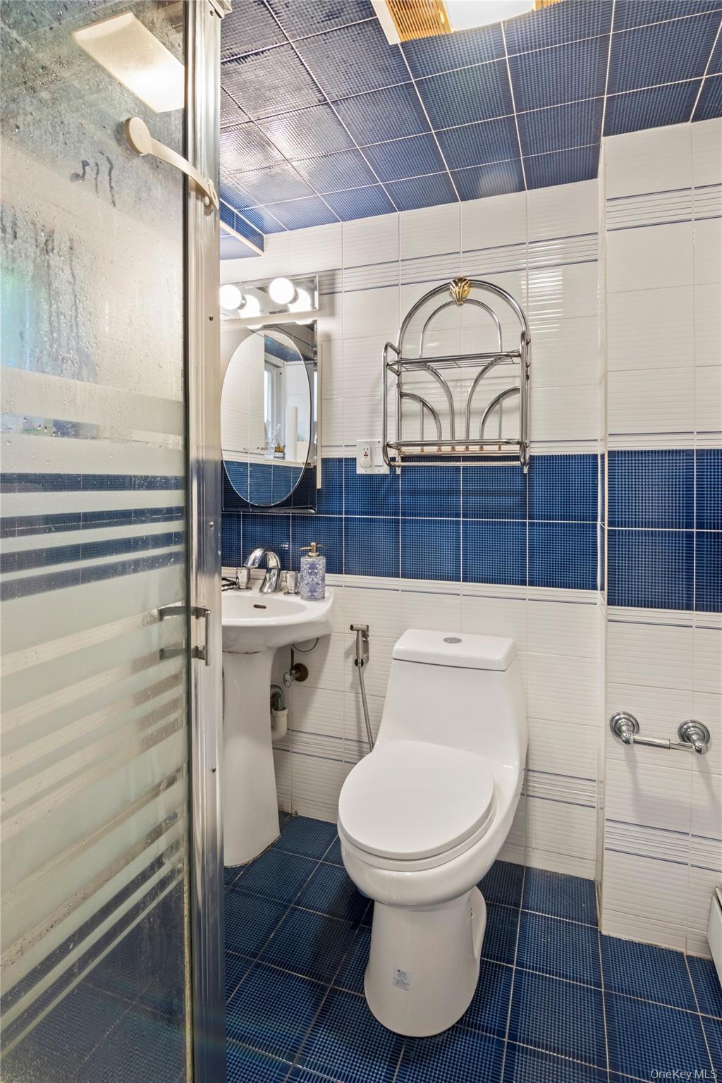 Single Family Bluebird Suffolk County, NY 11743, MLS-919701-17