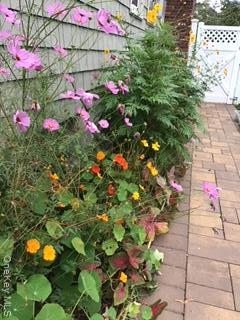 Single Family Kensington  Suffolk County, NY 11705, MLS-919750-37