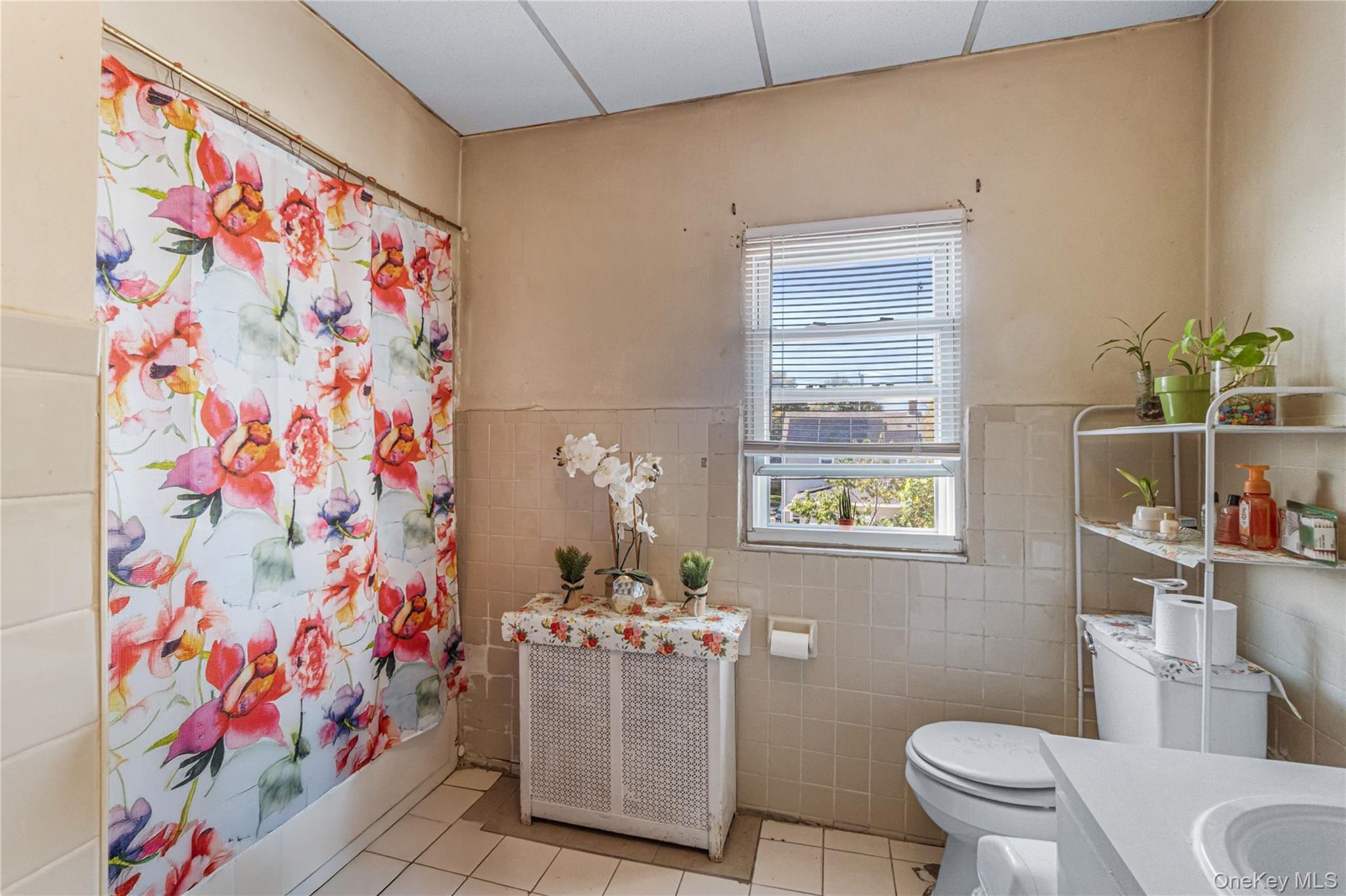 Single Family Francis Lewis Queens, NY 11428, MLS-919766-2