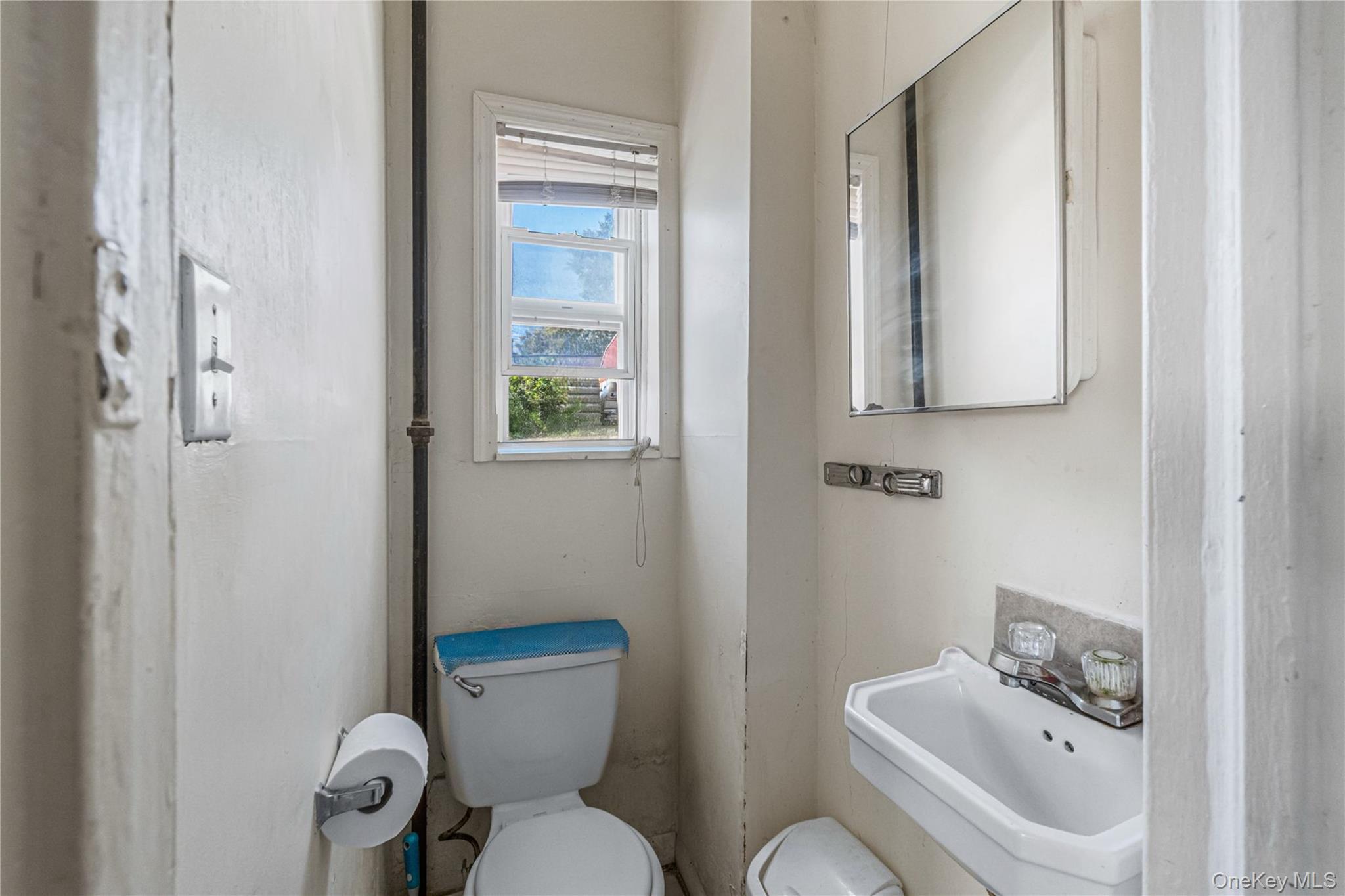 Single Family Francis Lewis Queens, NY 11428, MLS-919766-3