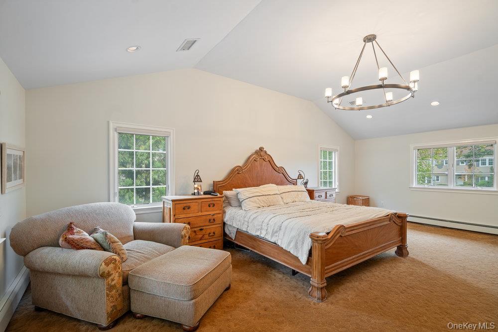 Single Family Chestnut Nassau County, NY 11576, MLS-919840-19