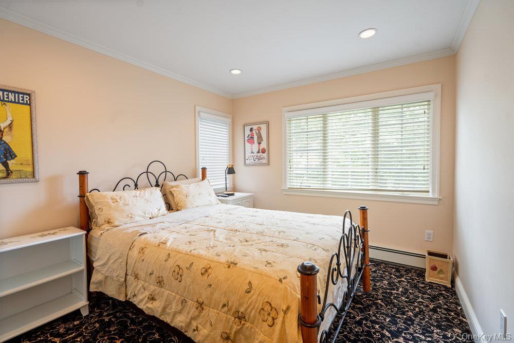 Single Family Chestnut Nassau County, NY 11576, MLS-919840-24