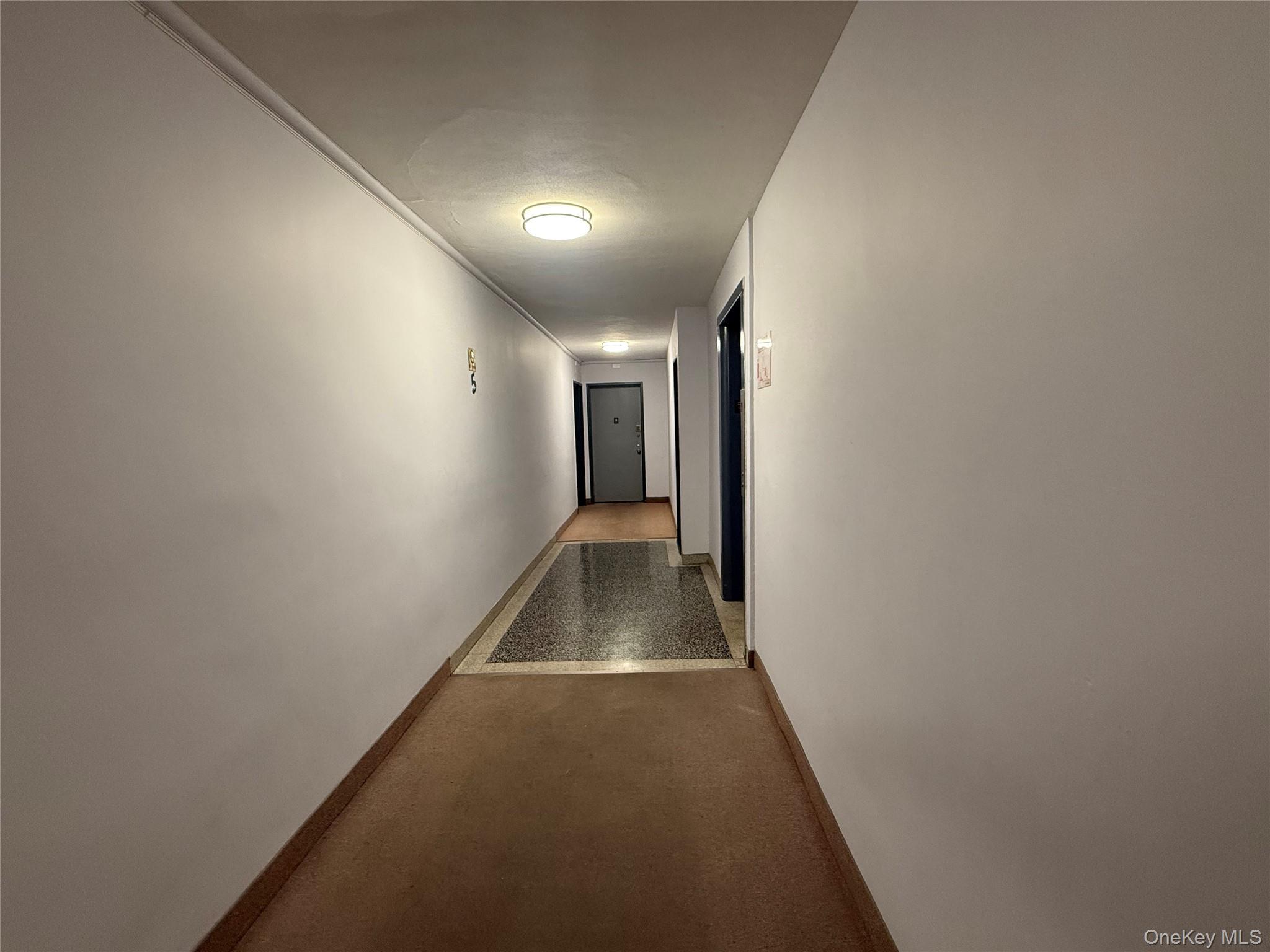 Condo Leverich  Queens, NY 11372, MLS-919896-5